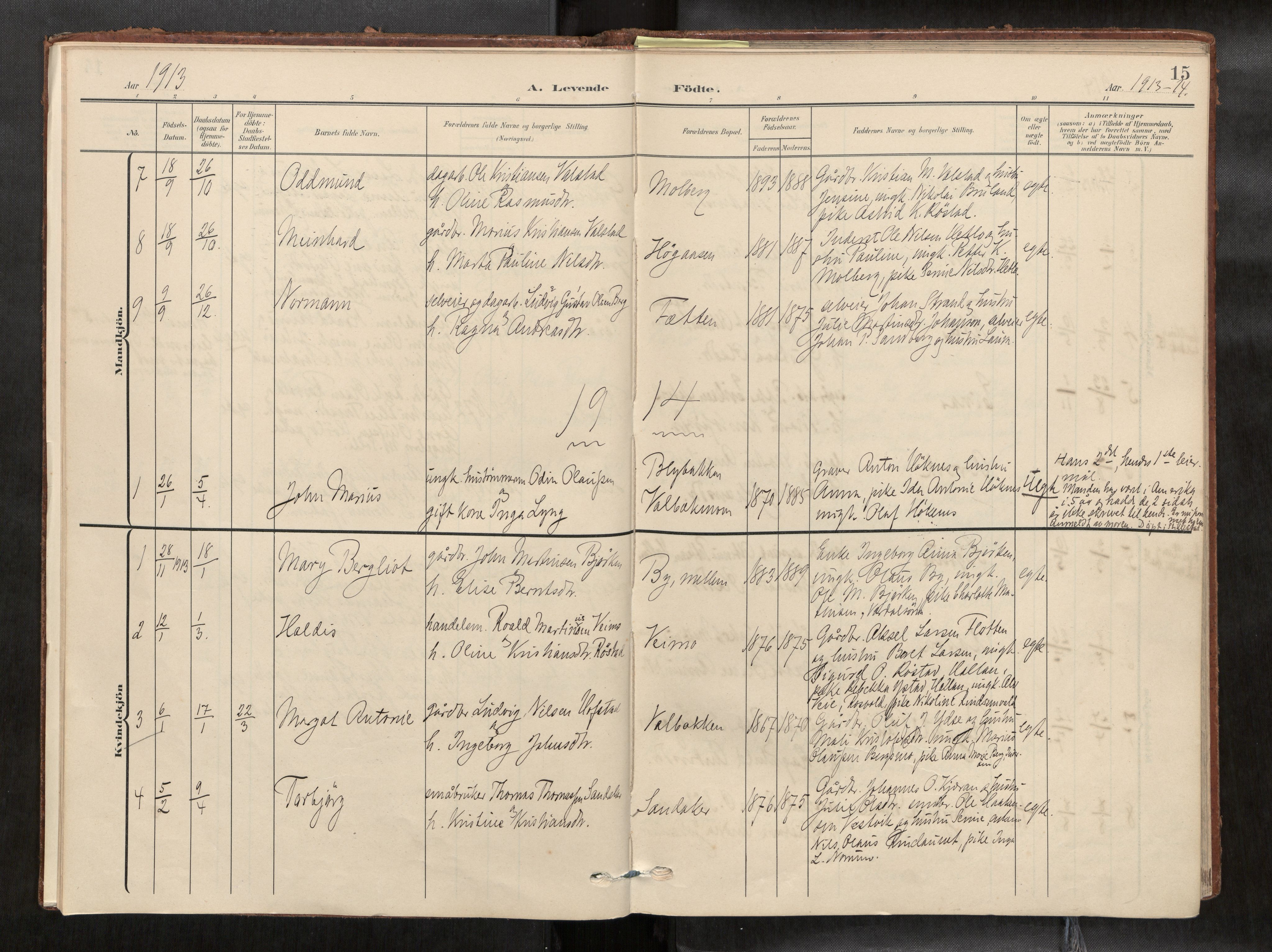 Verdal sokneprestkontor, AV/SAT-A-1156/2/H/Haa/L0003: Parish register (official) no. 3, 1907-1921, p. 15