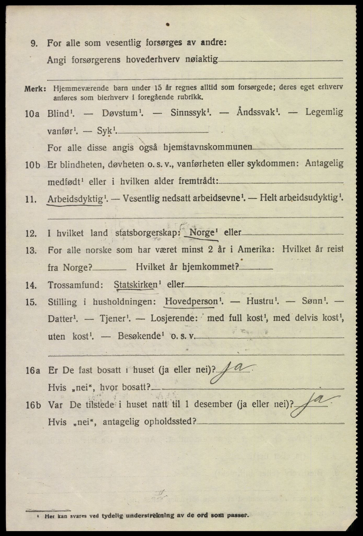 SAH, 1920 census for Skjåk, 1920, p. 2453