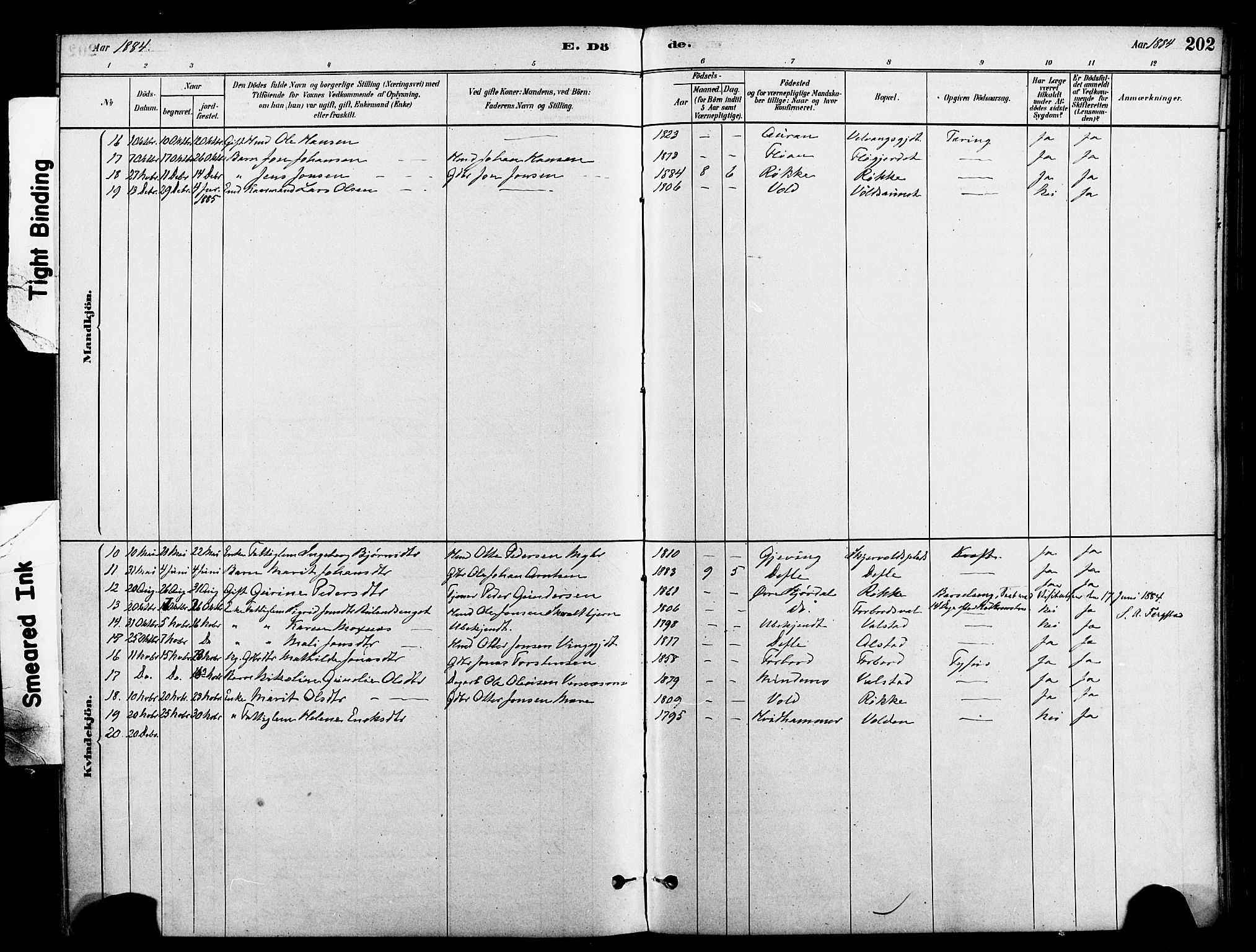 Ministerialprotokoller, klokkerbøker og fødselsregistre - Nord-Trøndelag, AV/SAT-A-1458/712/L0100: Parish register (official) no. 712A01, 1880-1900, p. 202