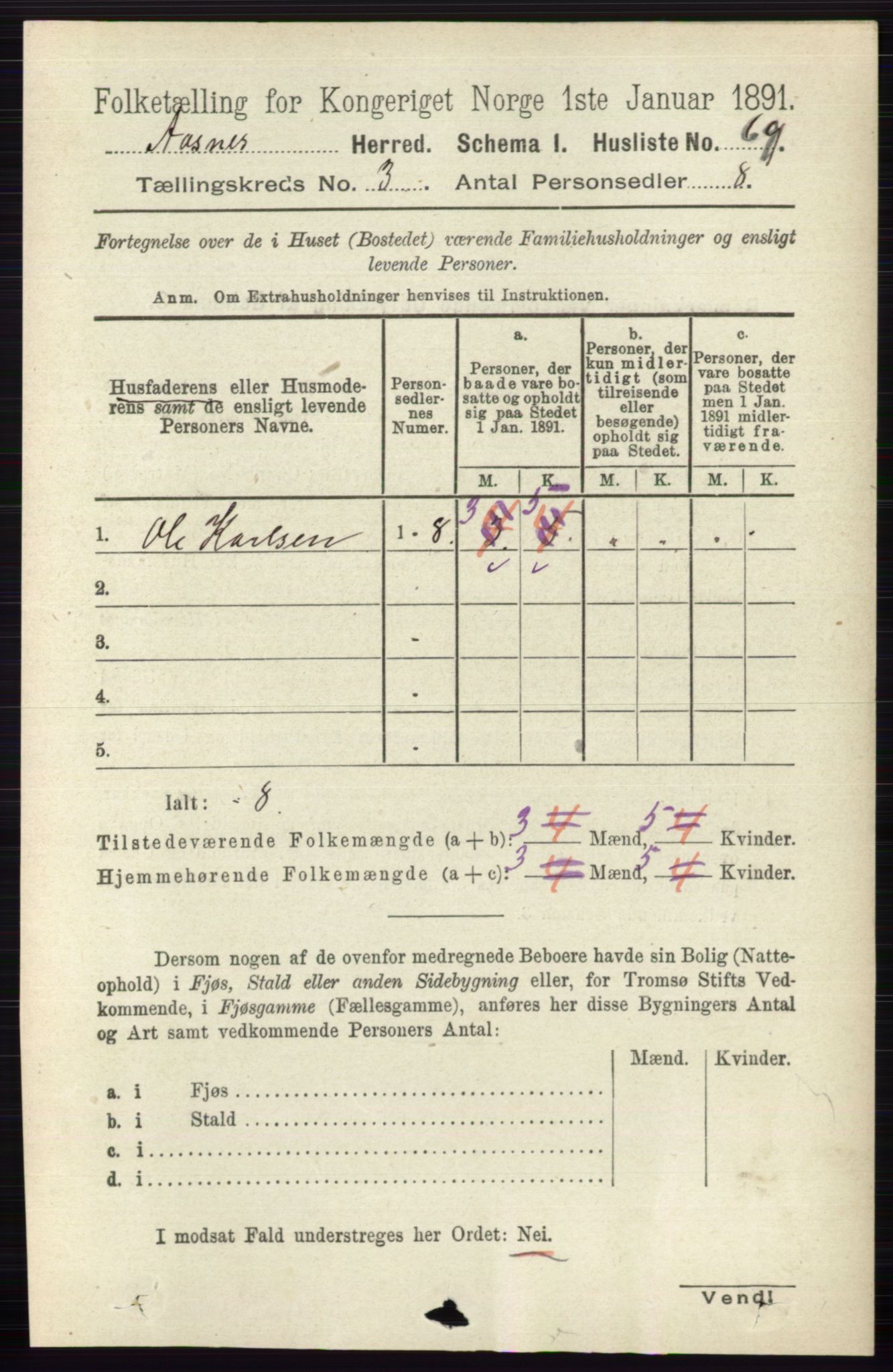 RA, 1891 census for 0425 Åsnes, 1891, p. 1021