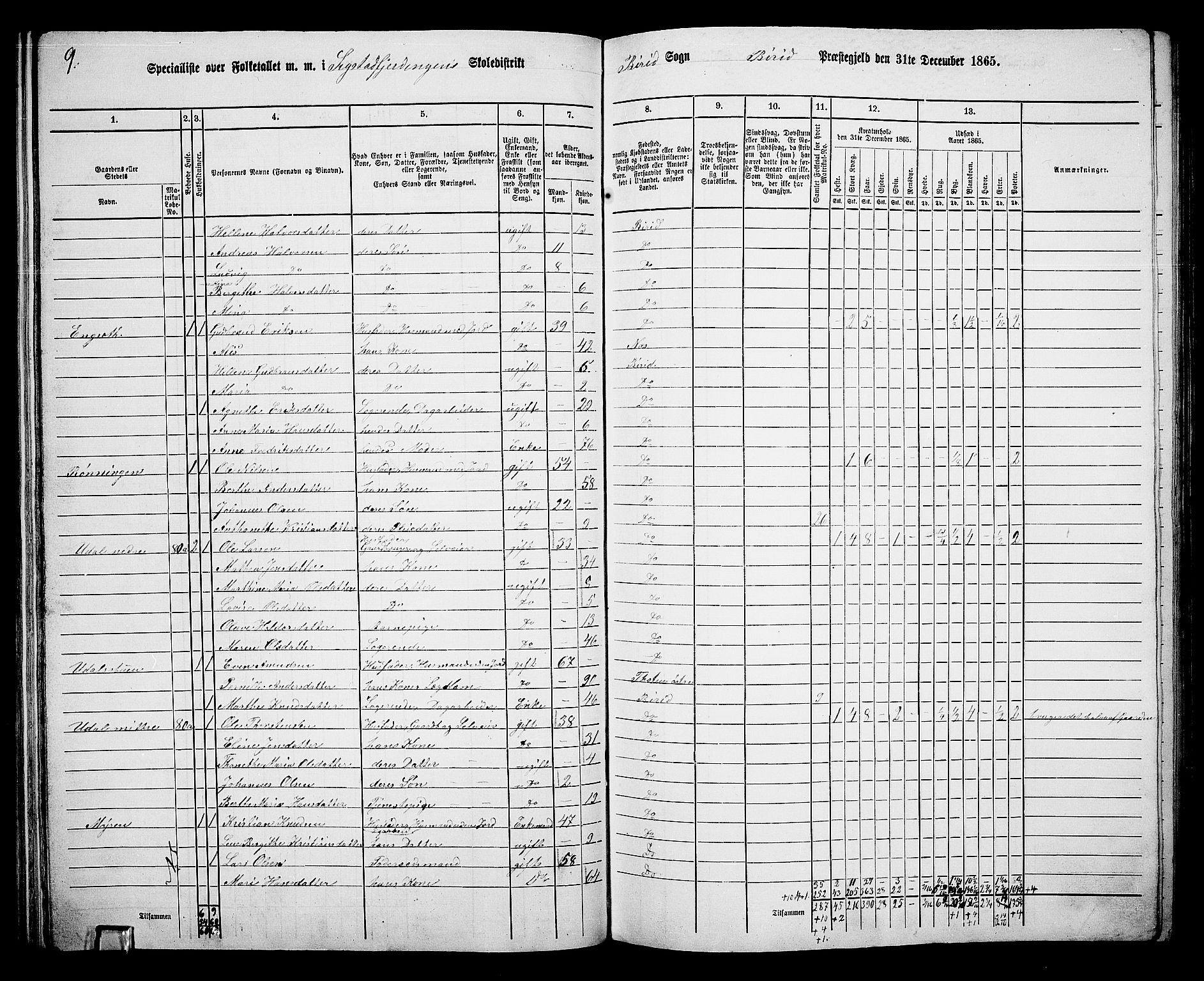 RA, 1865 census for Biri, 1865, p. 74