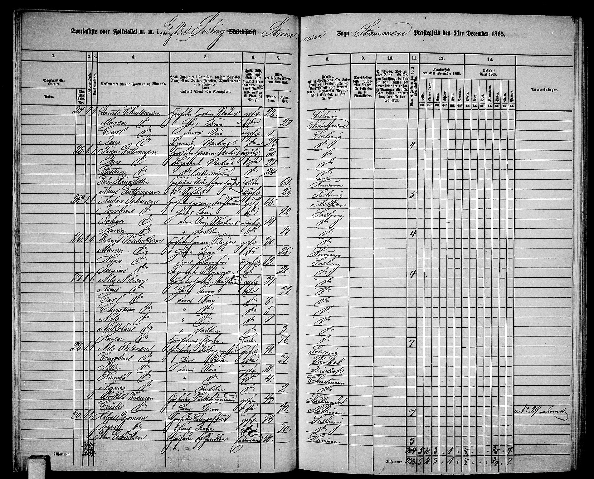 RA, 1865 census for Strømm, 1865, p. 68