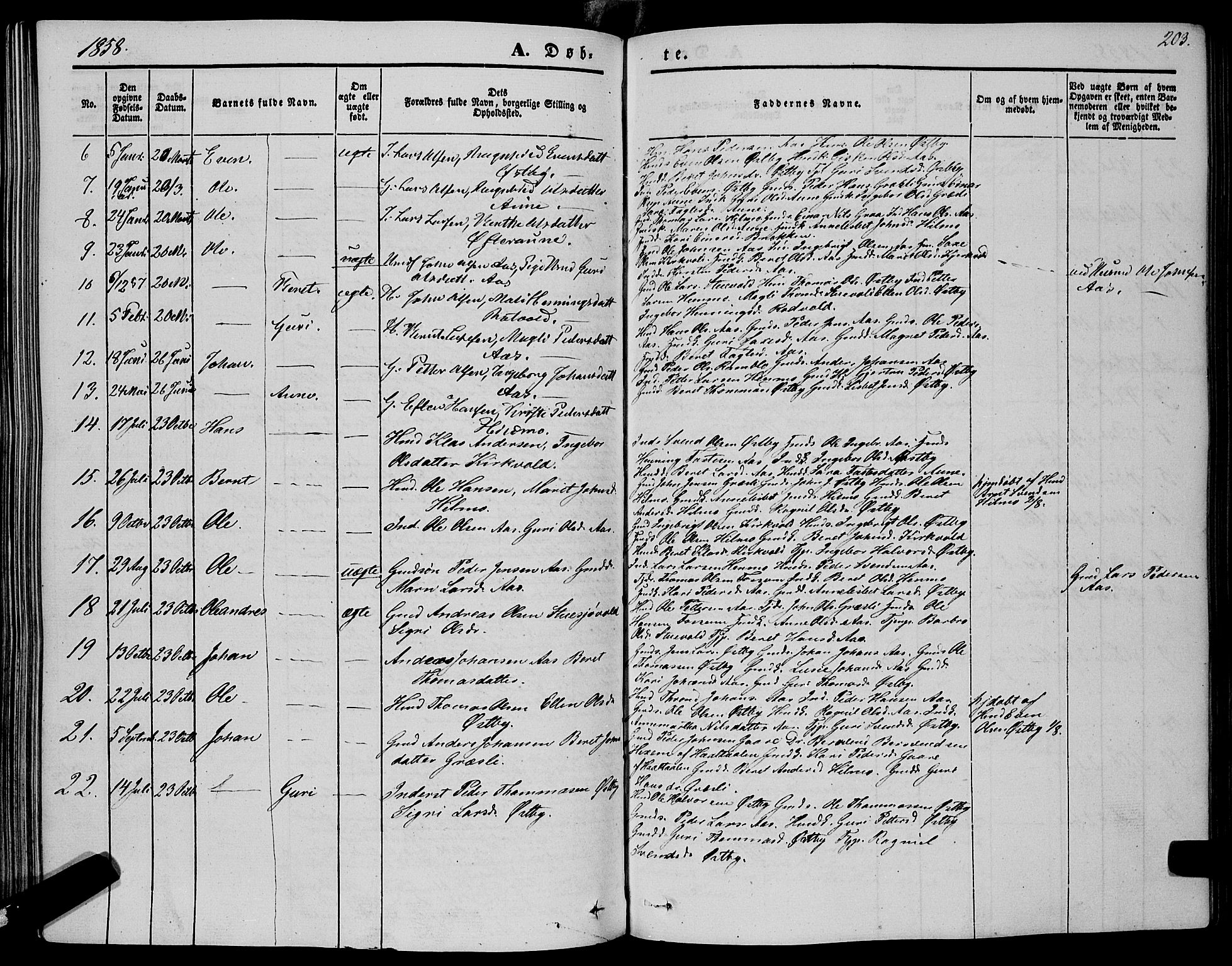 Ministerialprotokoller, klokkerbøker og fødselsregistre - Sør-Trøndelag, SAT/A-1456/695/L1146: Parish register (official) no. 695A06 /2, 1843-1859, p. 203