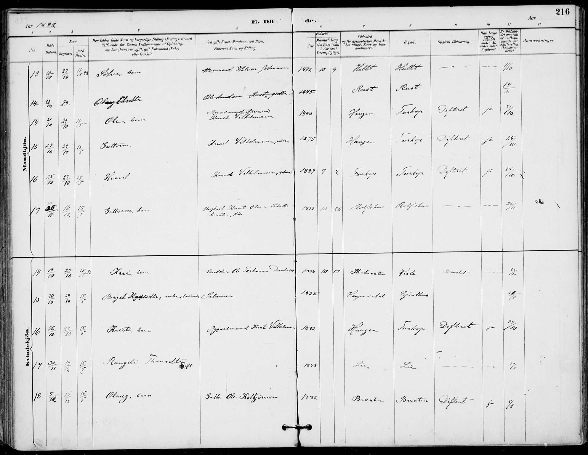 Gol kirkebøker, SAKO/A-226/F/Fa/L0005: Parish register (official) no. I 5, 1887-1900, p. 216