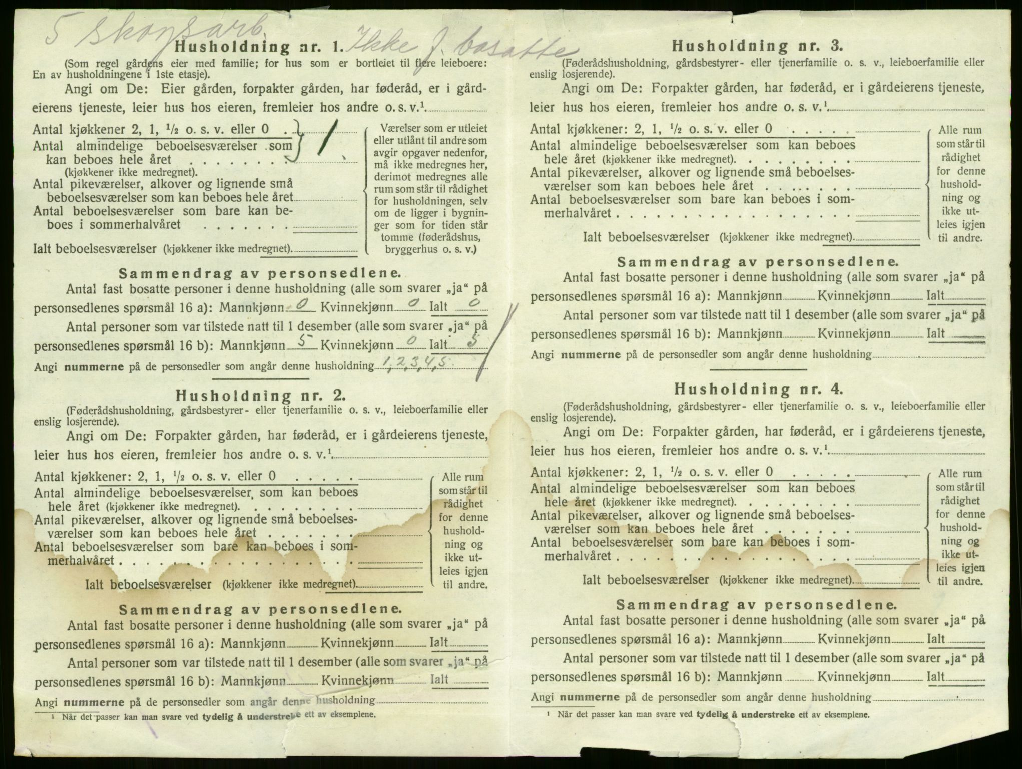 SAKO, 1920 census for Sande, 1920, p. 493