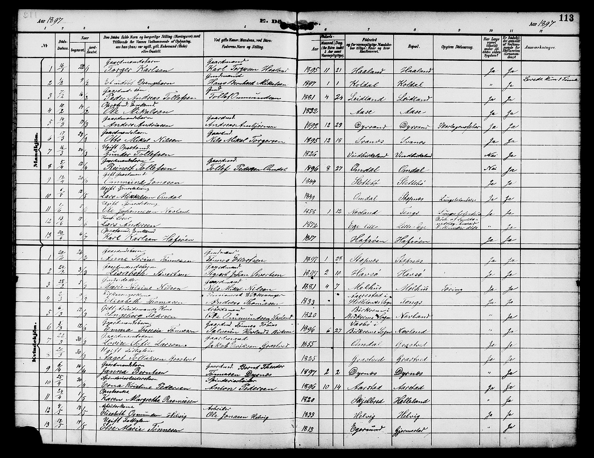 Eigersund sokneprestkontor, AV/SAST-A-101807/S09/L0009: Parish register (copy) no. B 9, 1893-1907, p. 113