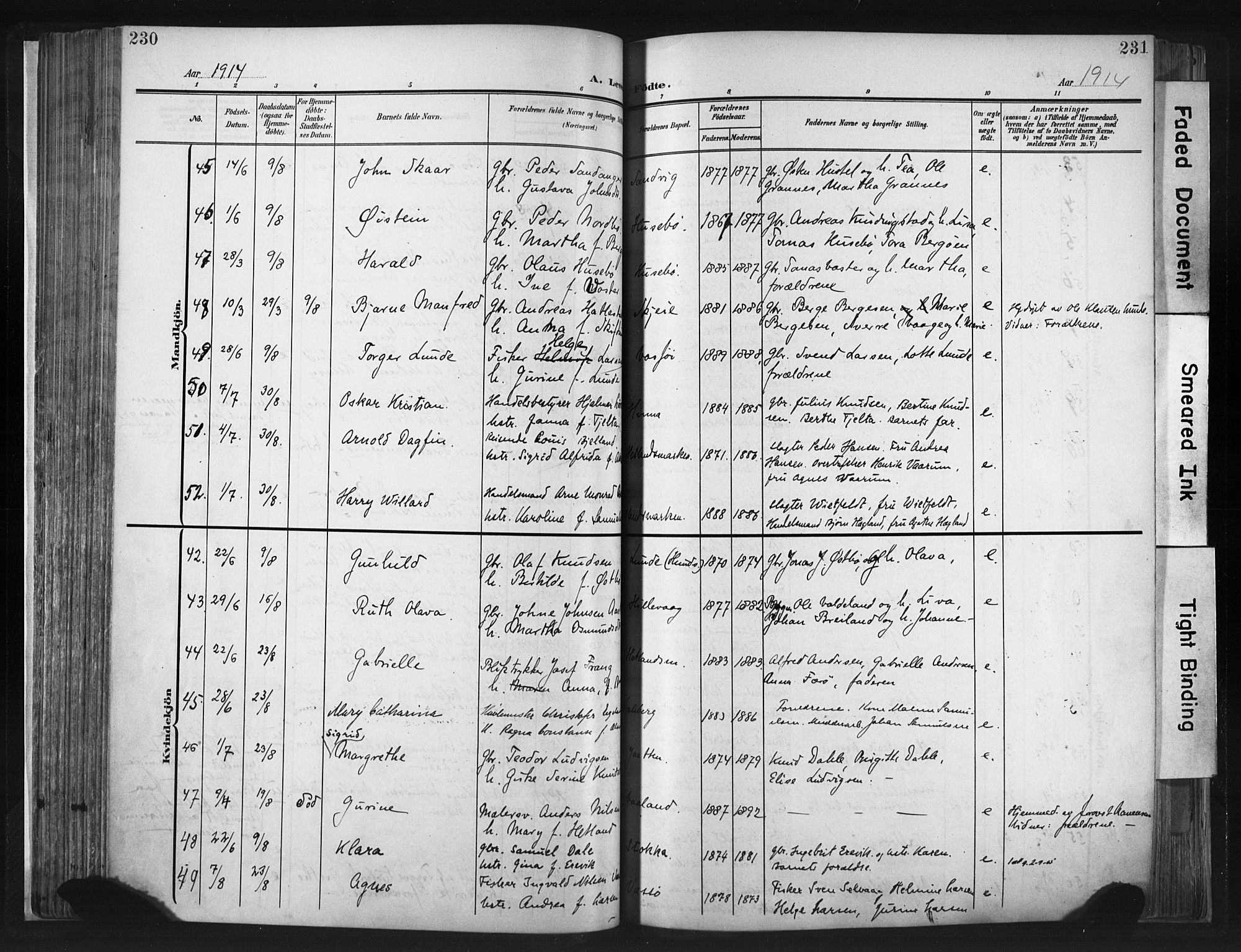 Hetland sokneprestkontor, AV/SAST-A-101826/30/30BA/L0013: Parish register (official) no. A 13, 1904-1918, p. 230-231