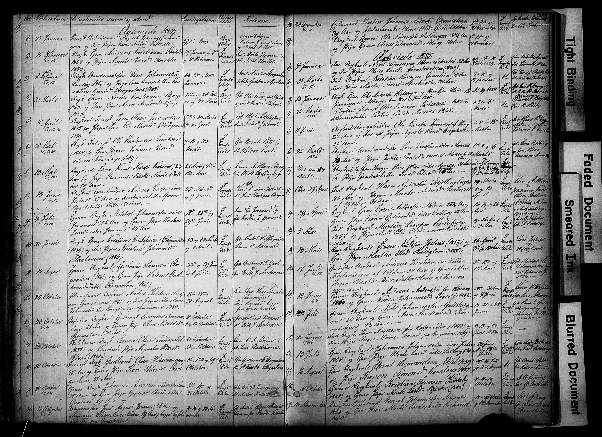 Vang prestekontor, Hedmark, SAH/PREST-008/H/Ha/Hab/L0018: Parish register (copy) no. 18, 1871-1903, p. 309