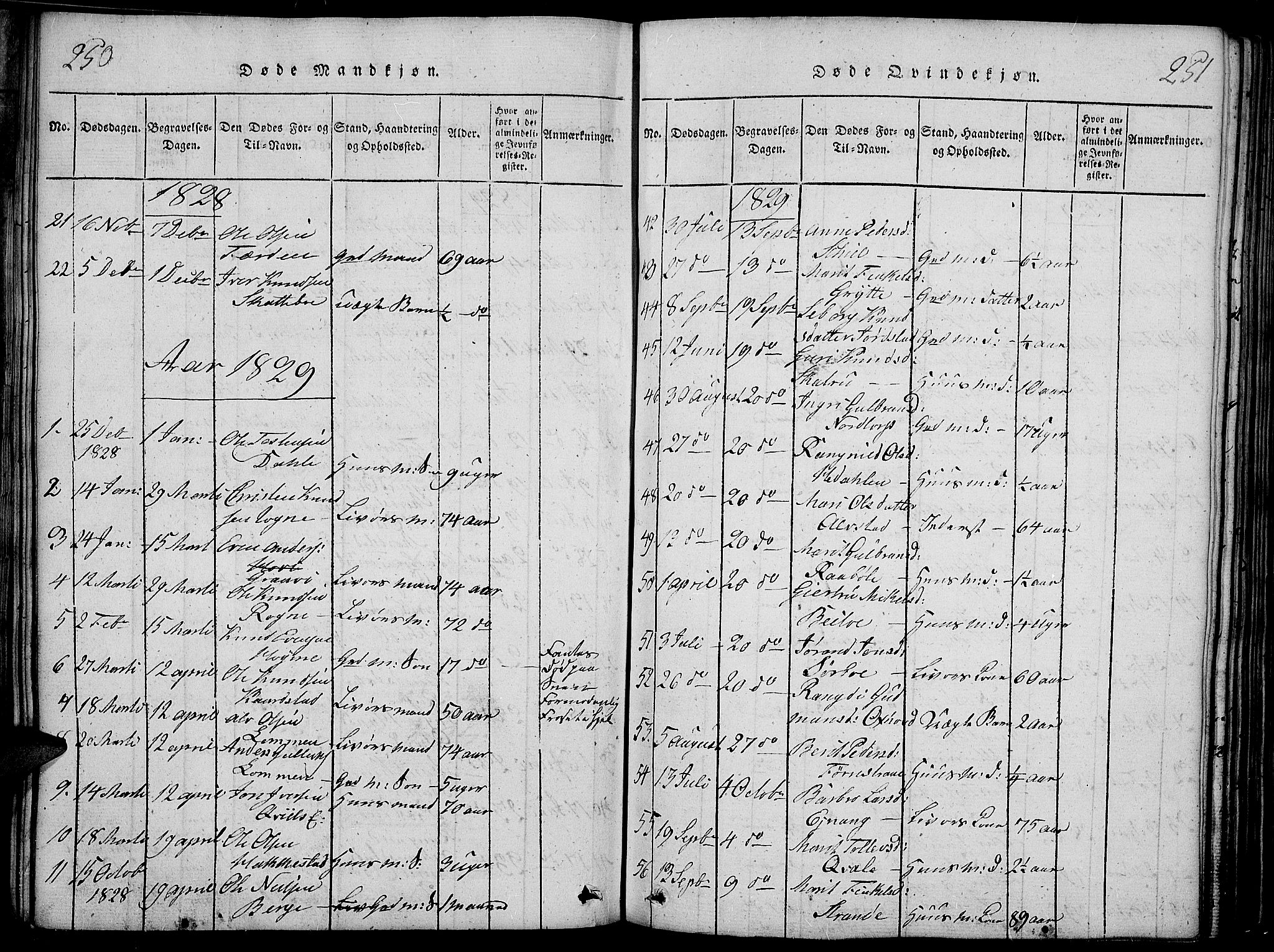 Slidre prestekontor, SAH/PREST-134/H/Ha/Haa/L0002: Parish register (official) no. 2, 1814-1830, p. 250-251