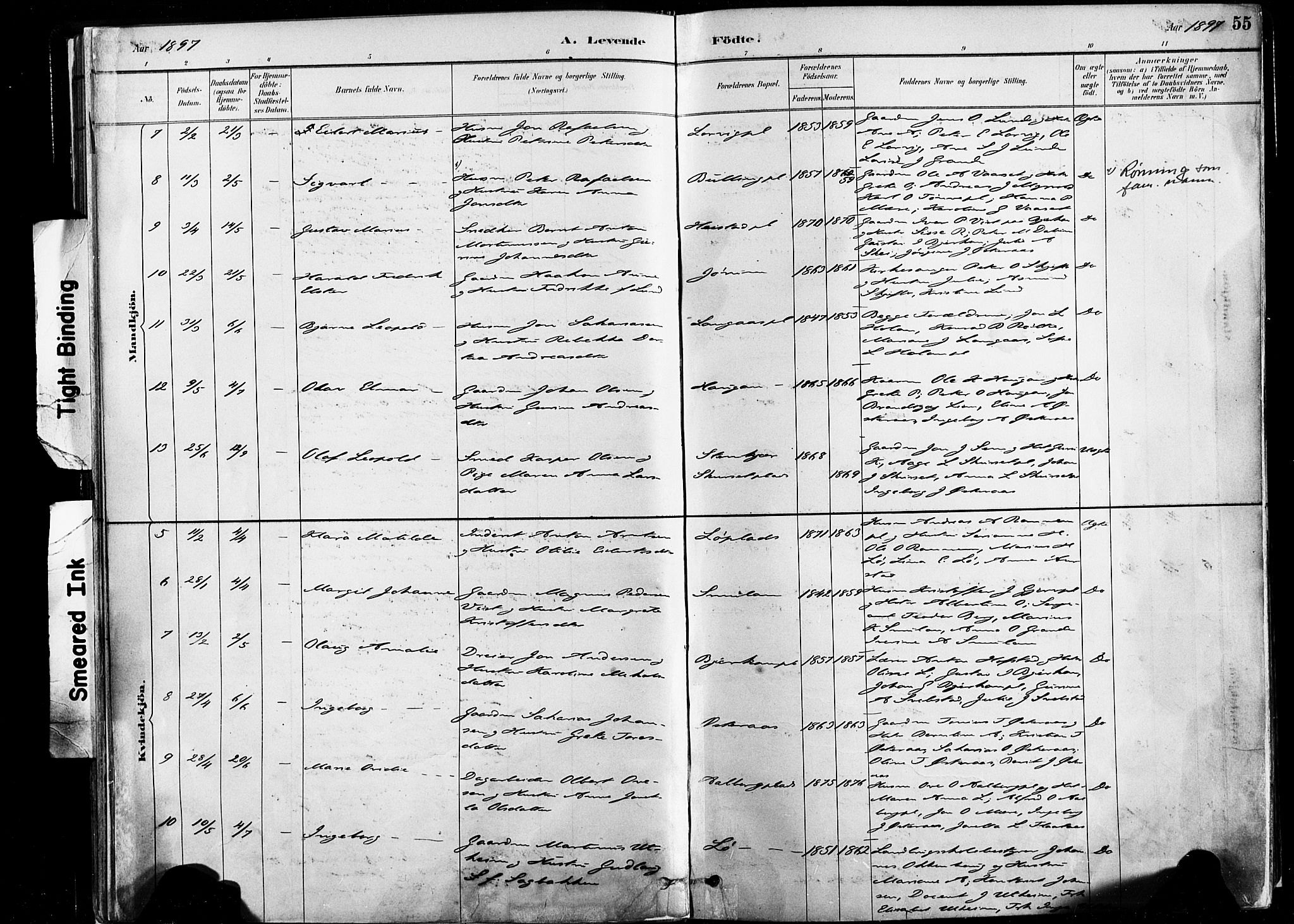 Ministerialprotokoller, klokkerbøker og fødselsregistre - Nord-Trøndelag, AV/SAT-A-1458/735/L0351: Parish register (official) no. 735A10, 1884-1908, p. 55