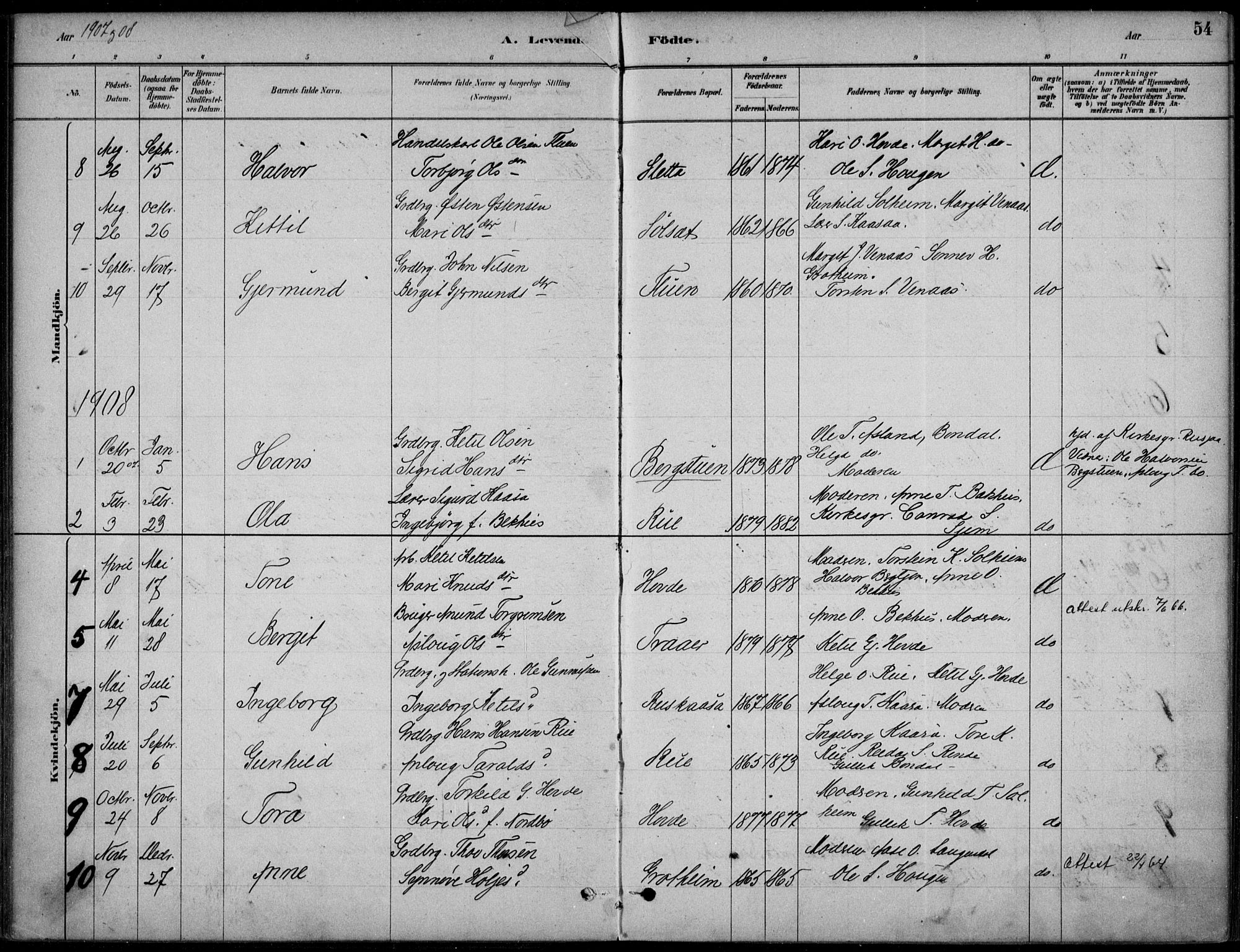 Hjartdal kirkebøker, AV/SAKO-A-270/F/Fc/L0002: Parish register (official) no. III 2, 1880-1936, p. 54