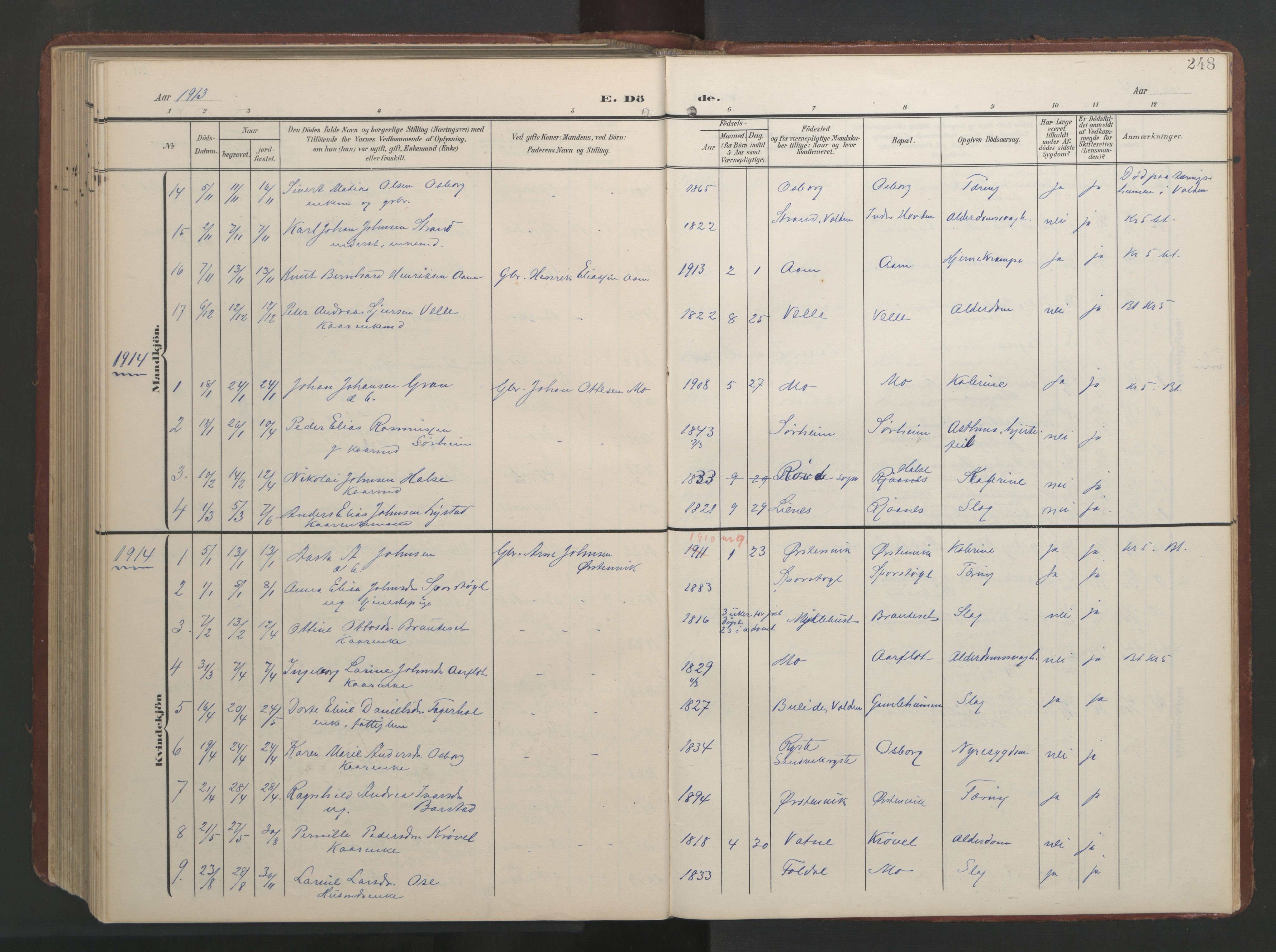 Ministerialprotokoller, klokkerbøker og fødselsregistre - Møre og Romsdal, AV/SAT-A-1454/513/L0190: Parish register (copy) no. 513C04, 1904-1926, p. 248