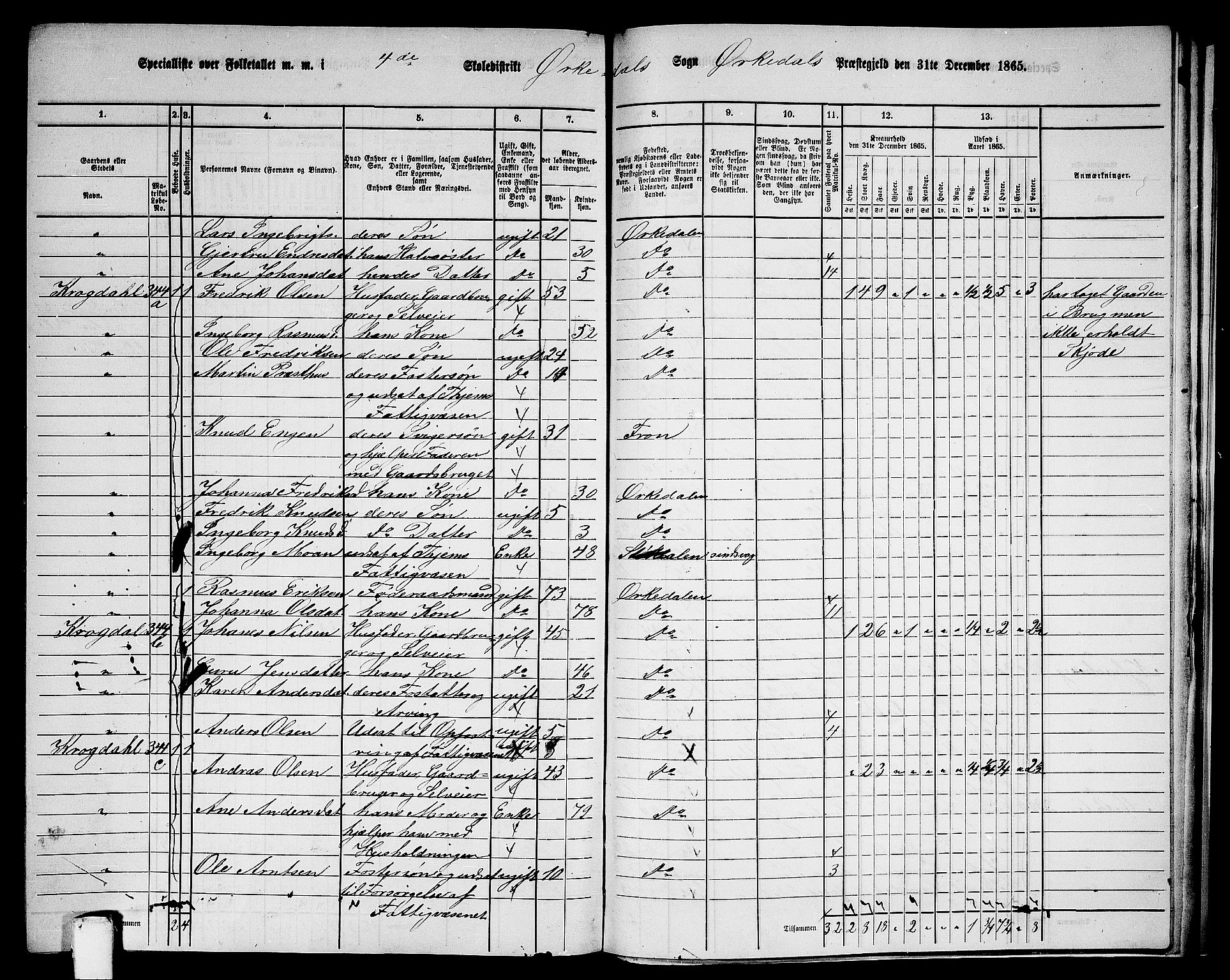 RA, 1865 census for Orkdal, 1865, p. 250