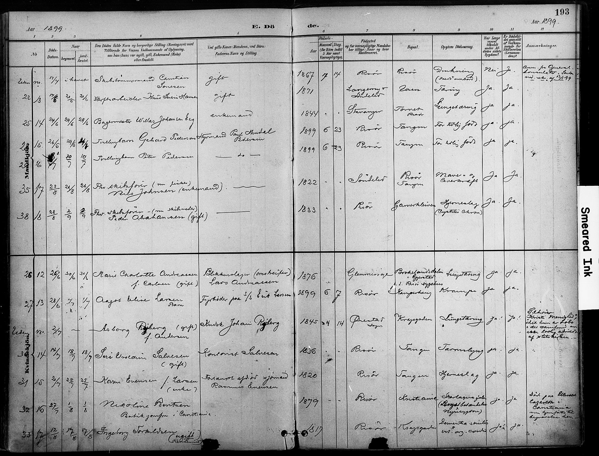 Risør sokneprestkontor, AV/SAK-1111-0035/F/Fa/L0010: Parish register (official) no. A 10, 1896-1906, p. 193