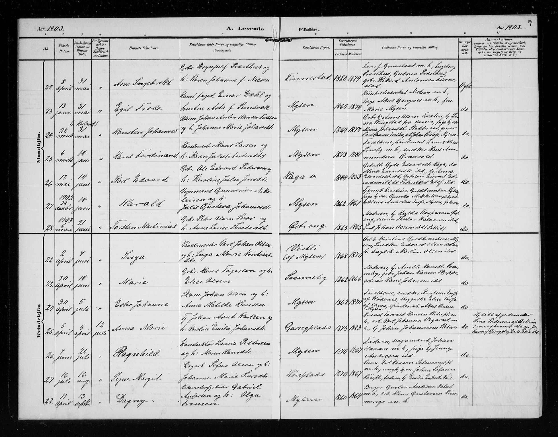 Eidsberg prestekontor Kirkebøker, AV/SAO-A-10905/G/Ga/L0002: Parish register (copy) no. I 2, 1903-1913, p. 7