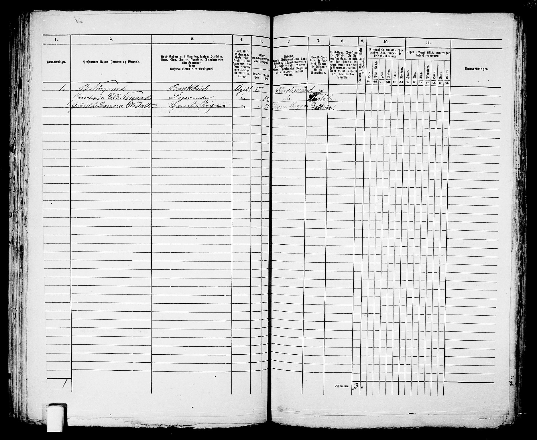 RA, 1865 census for Kristiansand, 1865, p. 175