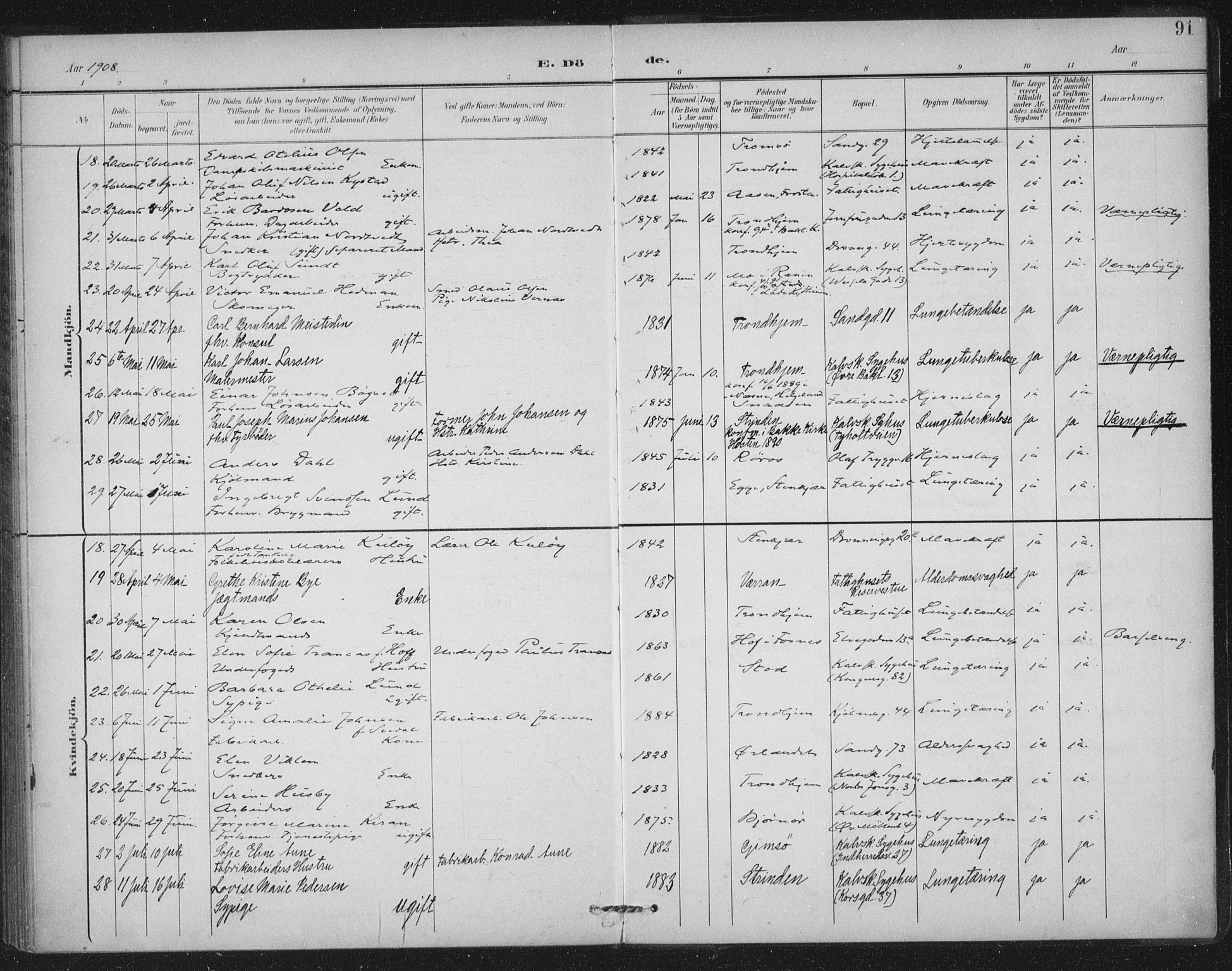 Ministerialprotokoller, klokkerbøker og fødselsregistre - Sør-Trøndelag, AV/SAT-A-1456/602/L0123: Parish register (official) no. 602A21, 1895-1910, p. 91