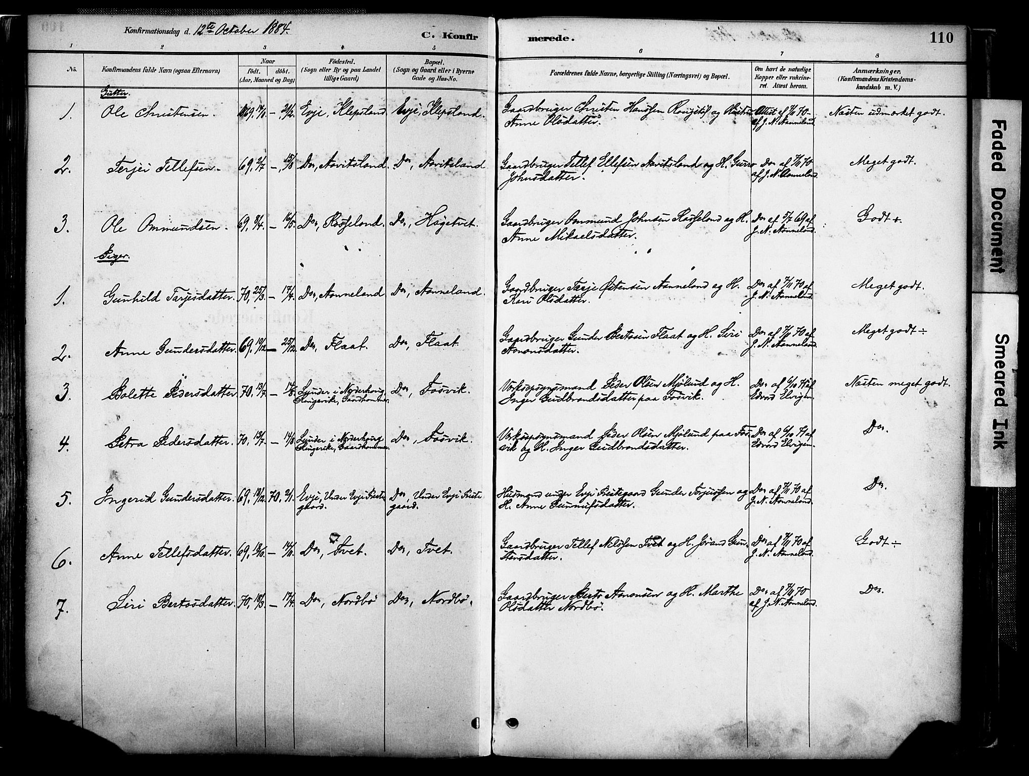 Evje sokneprestkontor, AV/SAK-1111-0008/F/Fa/Faa/L0007: Parish register (official) no. A 7, 1884-1909, p. 110