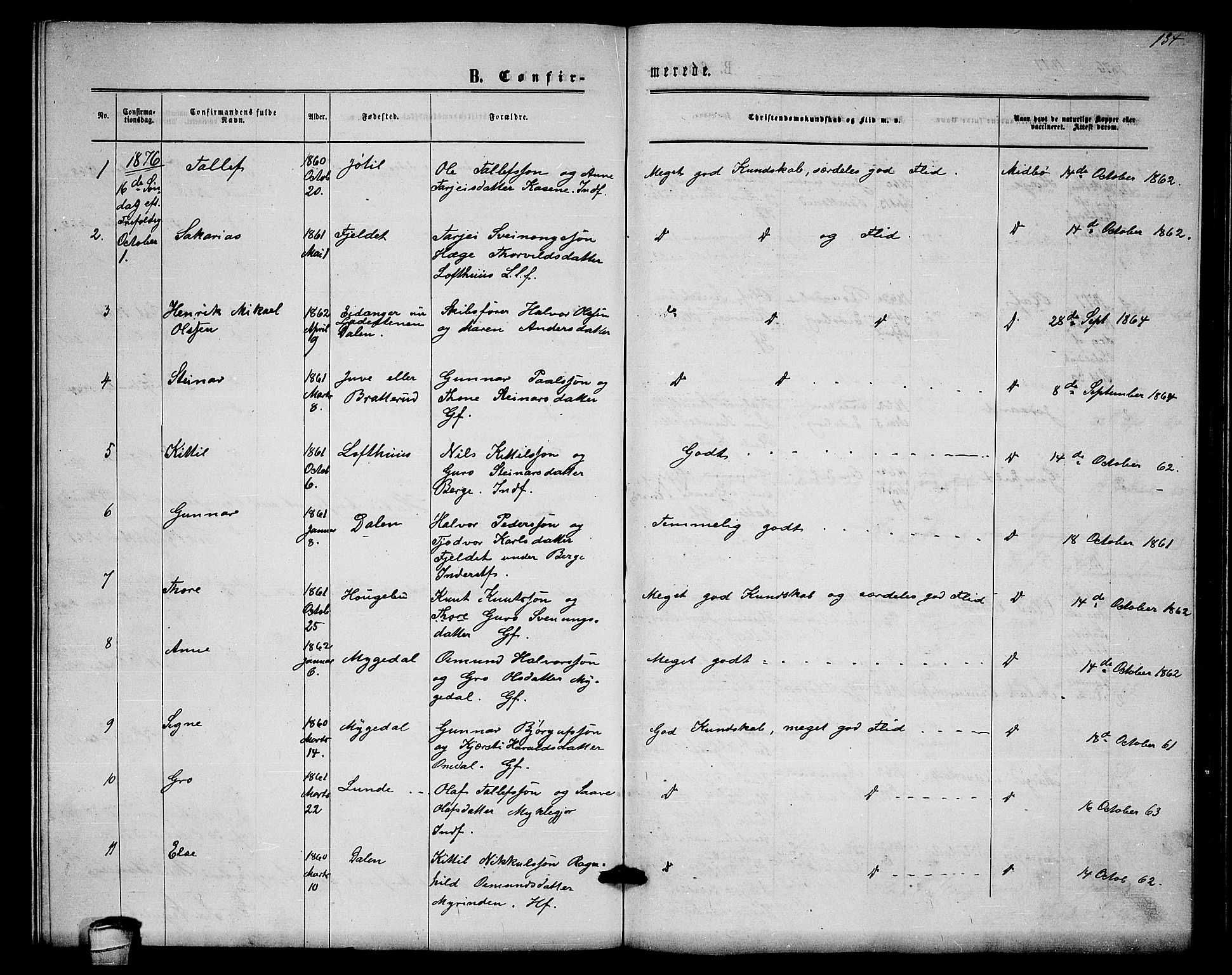 Lårdal kirkebøker, SAKO/A-284/G/Gb/L0002: Parish register (copy) no. II 2, 1865-1888, p. 134