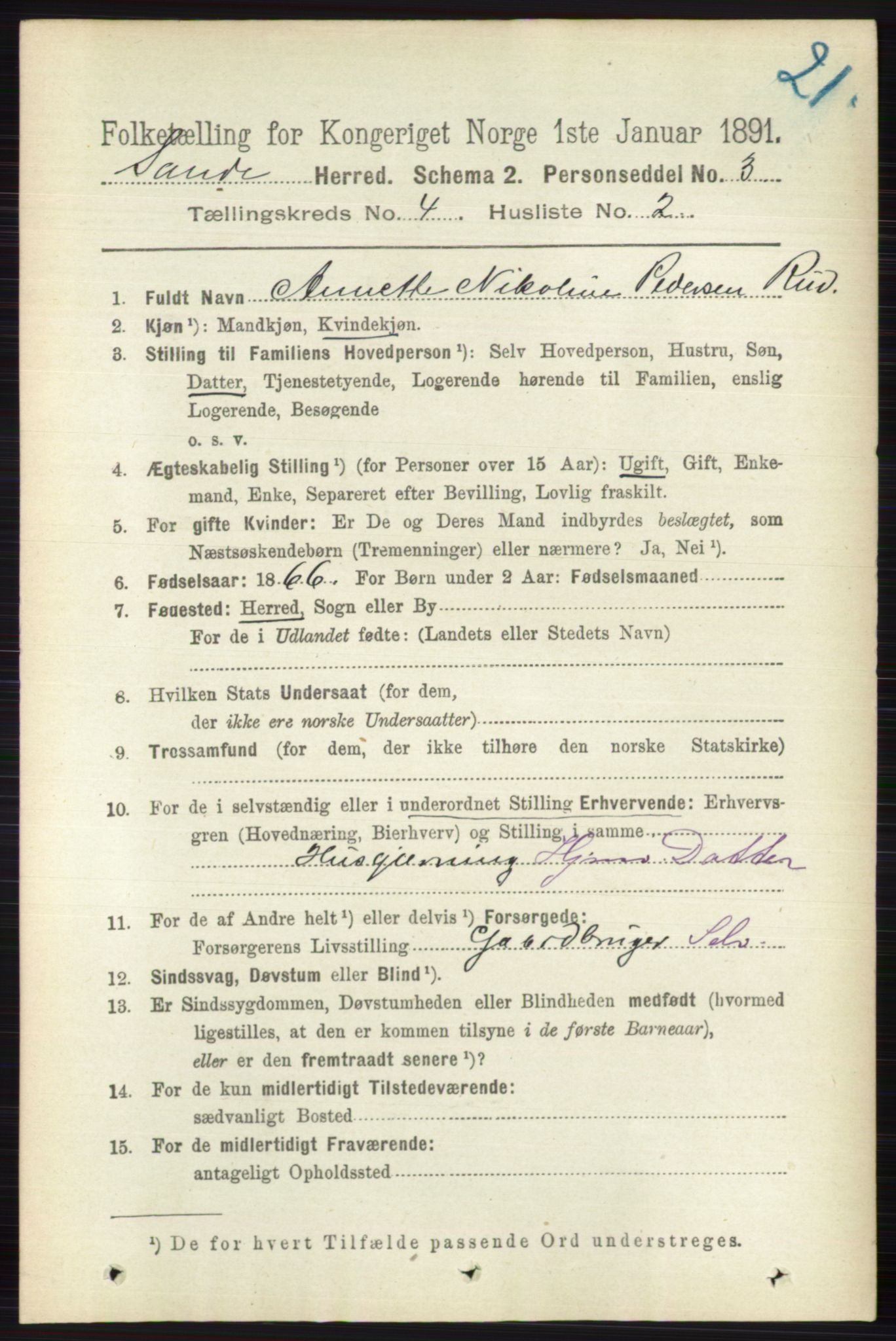 RA, 1891 census for 0713 Sande, 1891, p. 1490