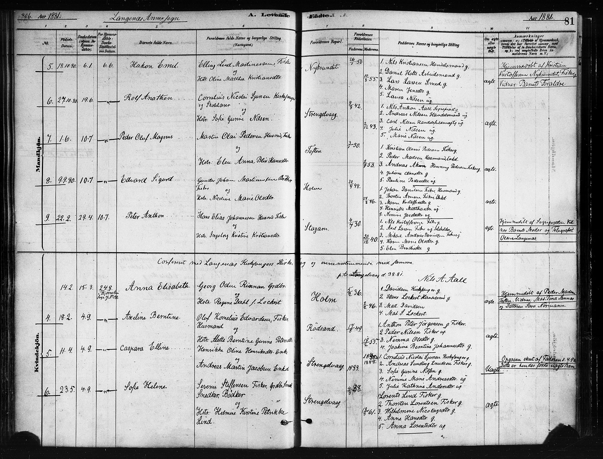 Ministerialprotokoller, klokkerbøker og fødselsregistre - Nordland, AV/SAT-A-1459/893/L1335: Parish register (official) no. 893A08 /2, 1878-1884, p. 81