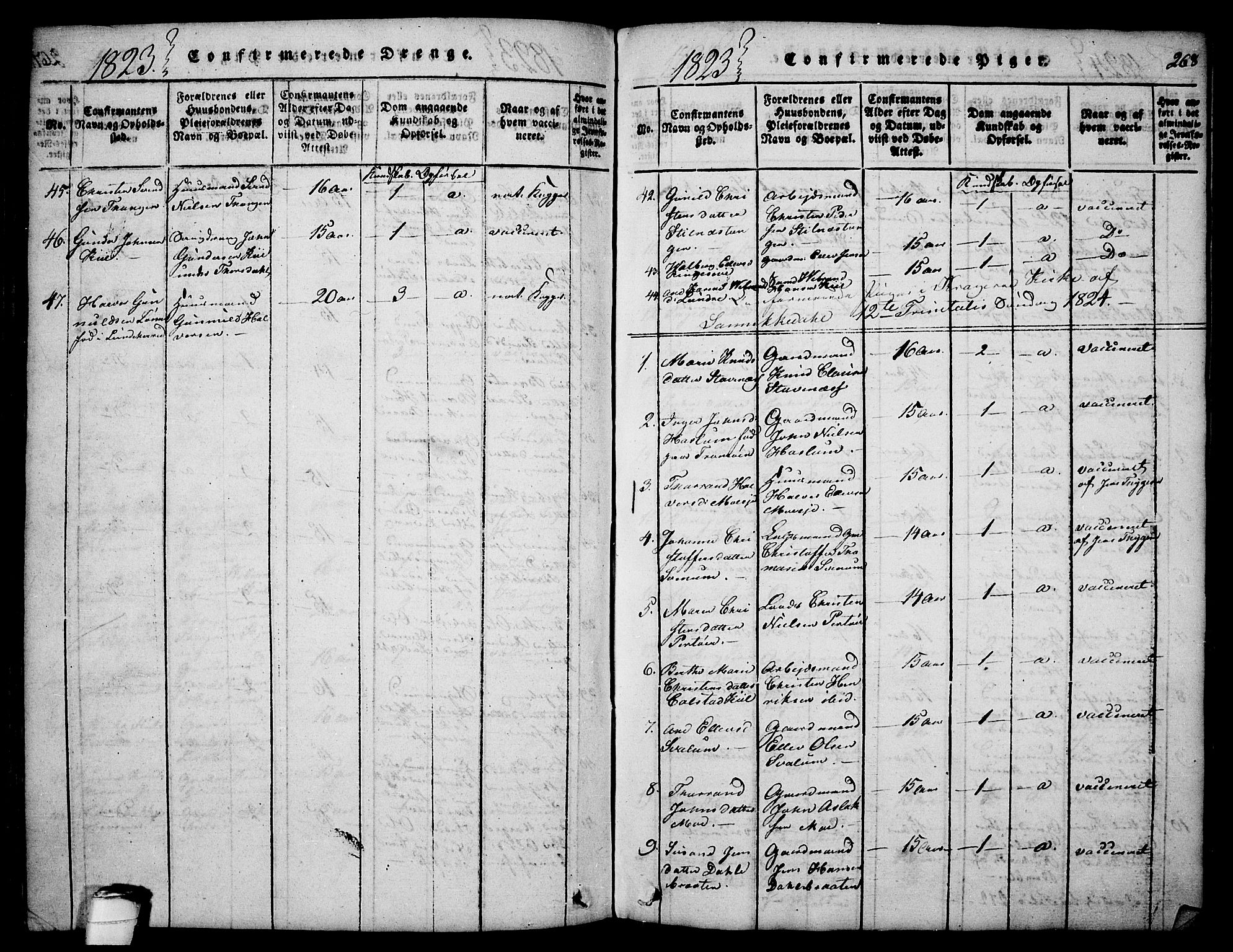 Sannidal kirkebøker, SAKO/A-296/F/Fa/L0004: Parish register (official) no. 4, 1814-1829, p. 268
