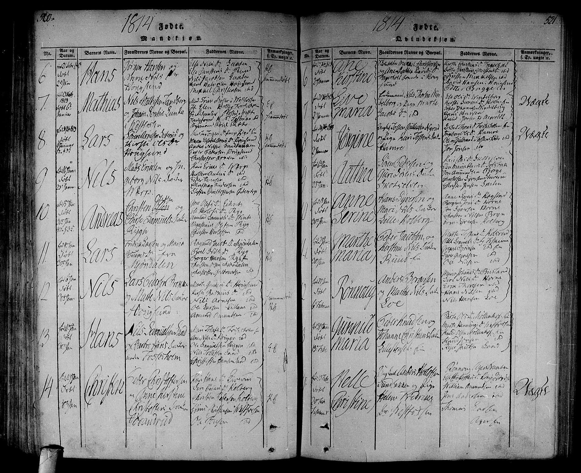 Eiker kirkebøker, AV/SAKO-A-4/F/Fa/L0010: Parish register (official) no. I 10, 1806-1815, p. 520-521