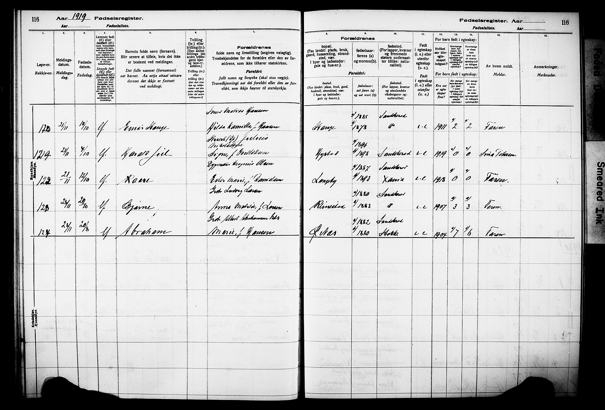 Sandar kirkebøker, AV/SAKO-A-243/J/Ja/L0001: Birth register no. 1, 1916-1922, p. 116