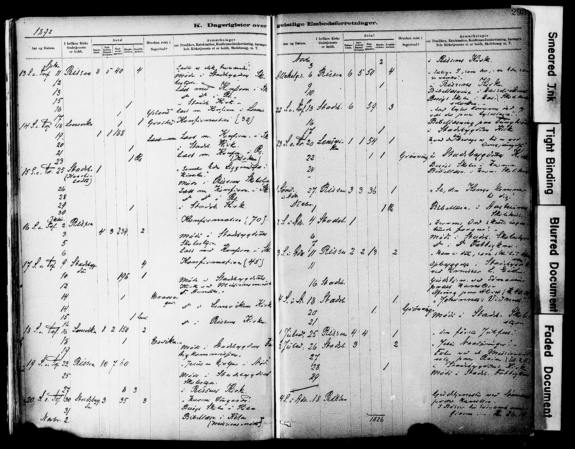 Ministerialprotokoller, klokkerbøker og fødselsregistre - Sør-Trøndelag, AV/SAT-A-1456/646/L0615: Parish register (official) no. 646A13, 1885-1900, p. 293