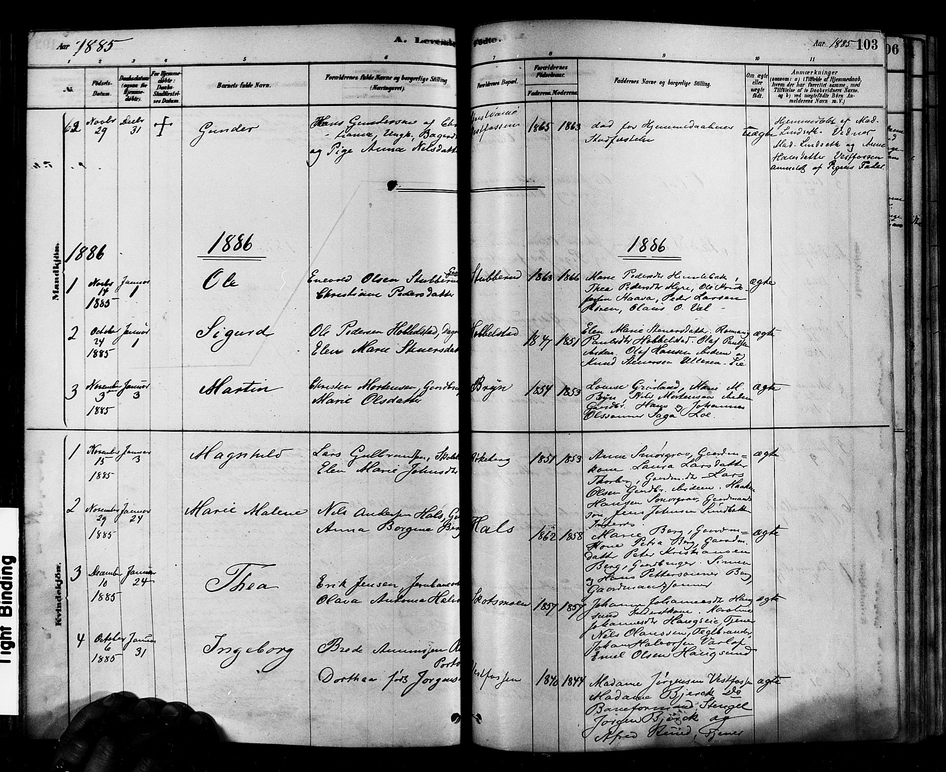 Eiker kirkebøker, SAKO/A-4/F/Fb/L0001: Parish register (official) no. II 1, 1878-1888, p. 103