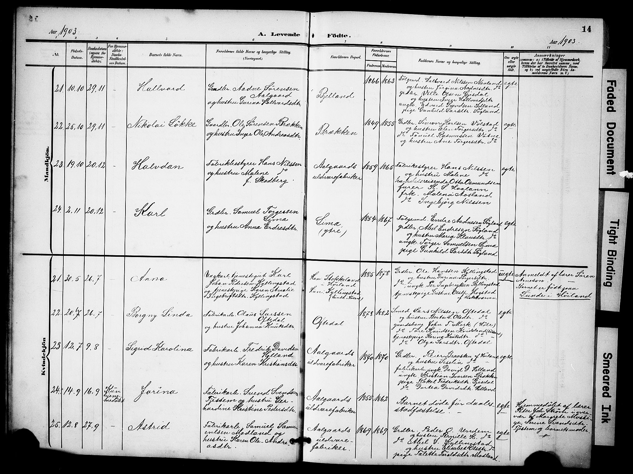 Lye sokneprestkontor, AV/SAST-A-101794/001/30BB/L0009: Parish register (copy) no. B 9, 1902-1923, p. 14