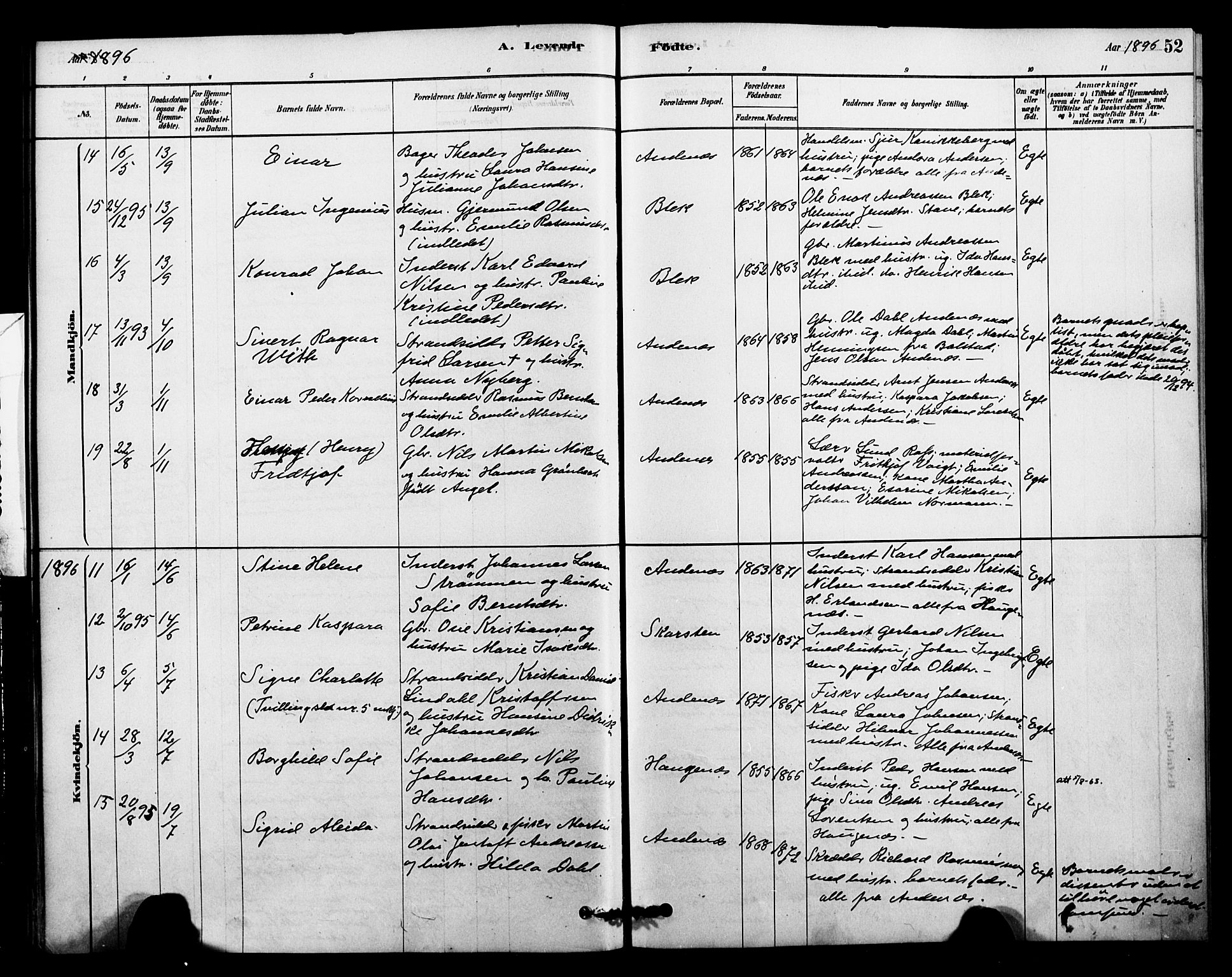 Ministerialprotokoller, klokkerbøker og fødselsregistre - Nordland, AV/SAT-A-1459/899/L1436: Parish register (official) no. 899A04, 1881-1896, p. 52