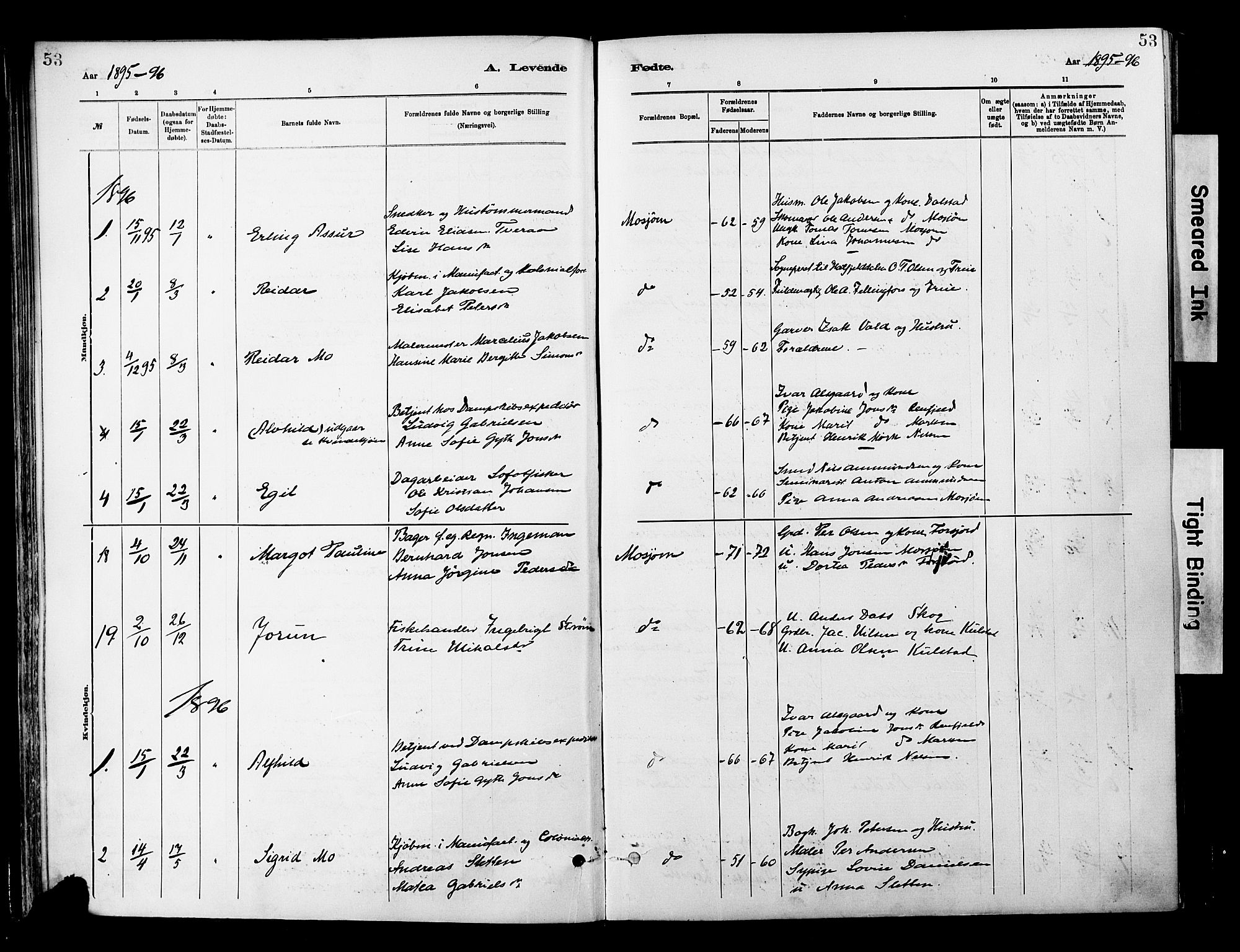 Ministerialprotokoller, klokkerbøker og fødselsregistre - Nordland, SAT/A-1459/820/L0296: Parish register (official) no. 820A17, 1880-1903, p. 53