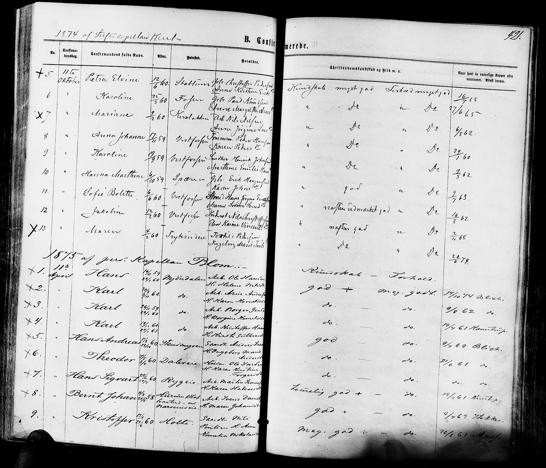 Eiker kirkebøker, SAKO/A-4/F/Fa/L0017: Parish register (official) no. I 17, 1869-1877, p. 421
