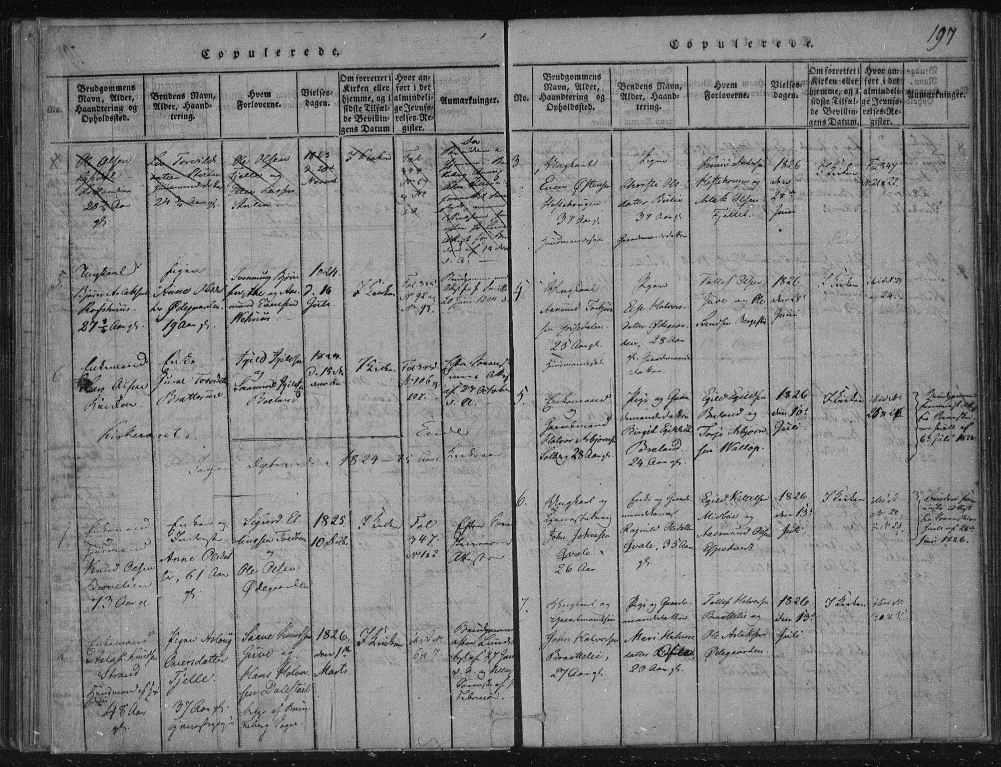 Lårdal kirkebøker, SAKO/A-284/F/Fc/L0001: Parish register (official) no. III 1, 1815-1860, p. 197