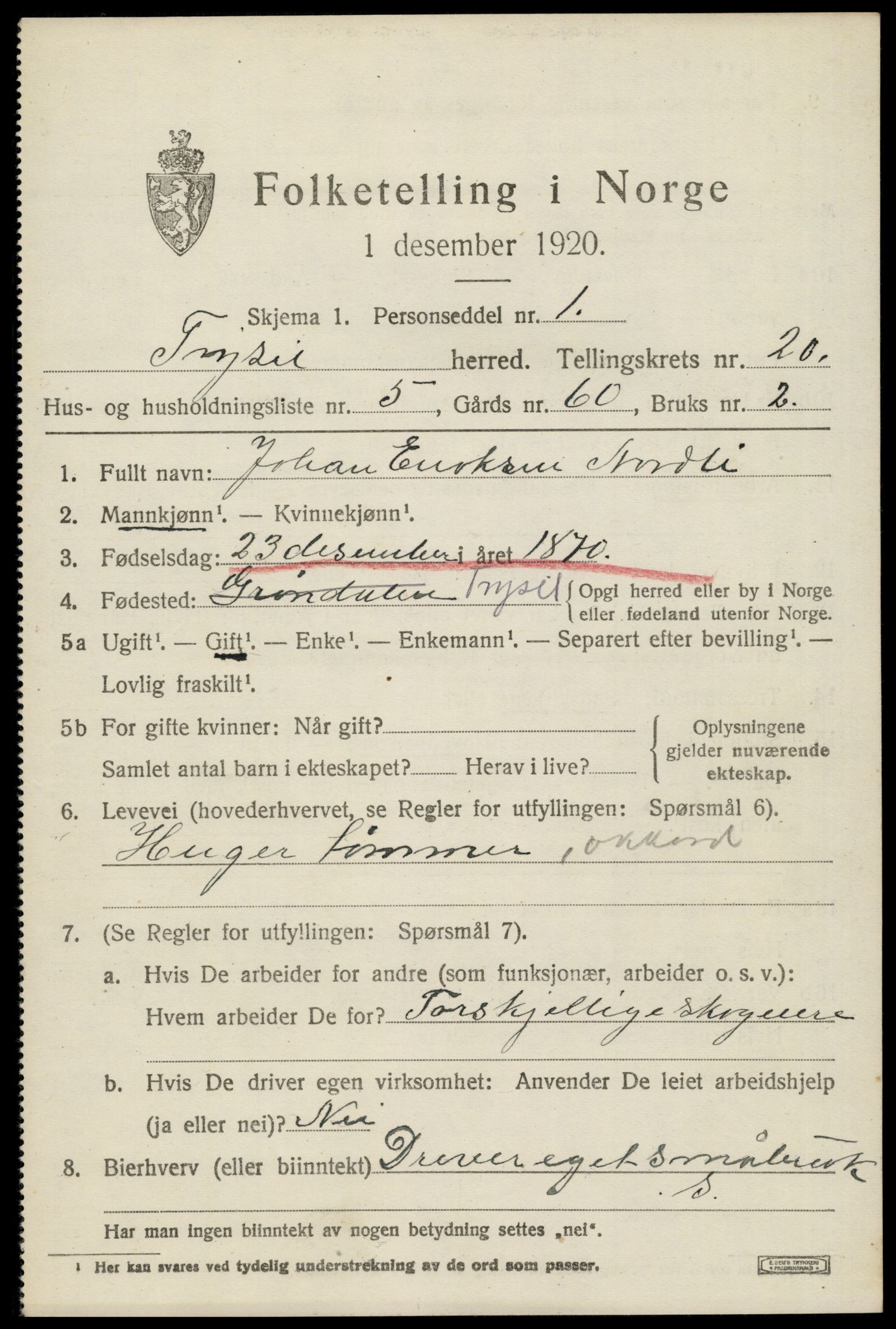 SAH, 1920 census for Trysil, 1920, p. 13053