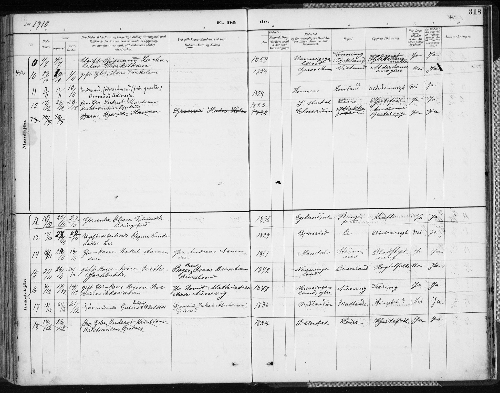 Lyngdal sokneprestkontor, AV/SAK-1111-0029/F/Fa/Fac/L0012: Parish register (official) no. A 12, 1894-1918, p. 318