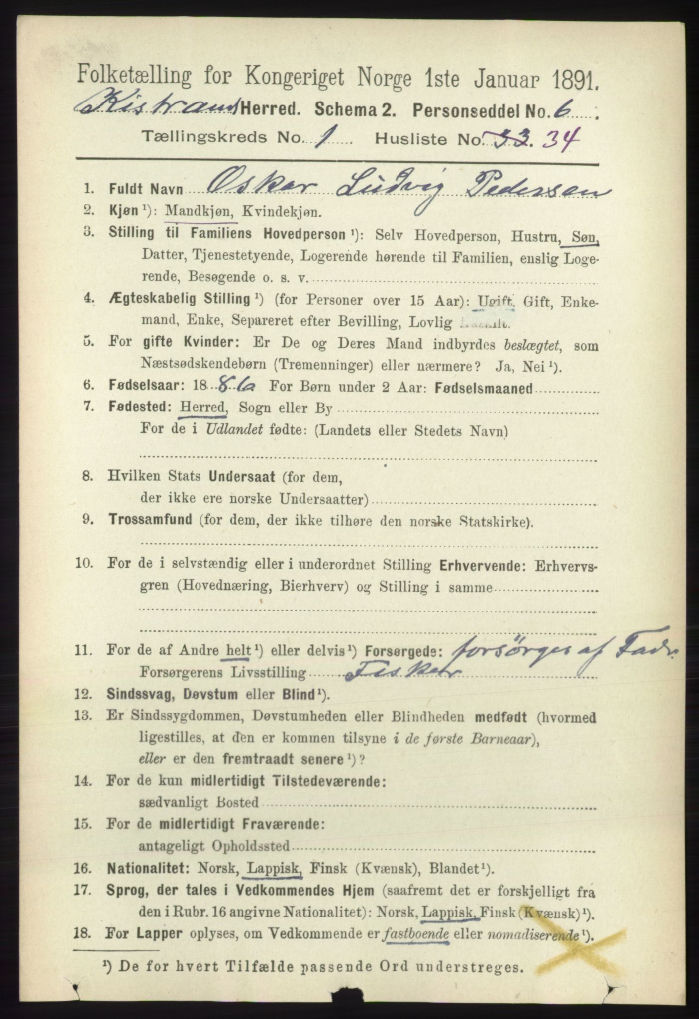 RA, 1891 census for 2020 Kistrand, 1891, p. 294