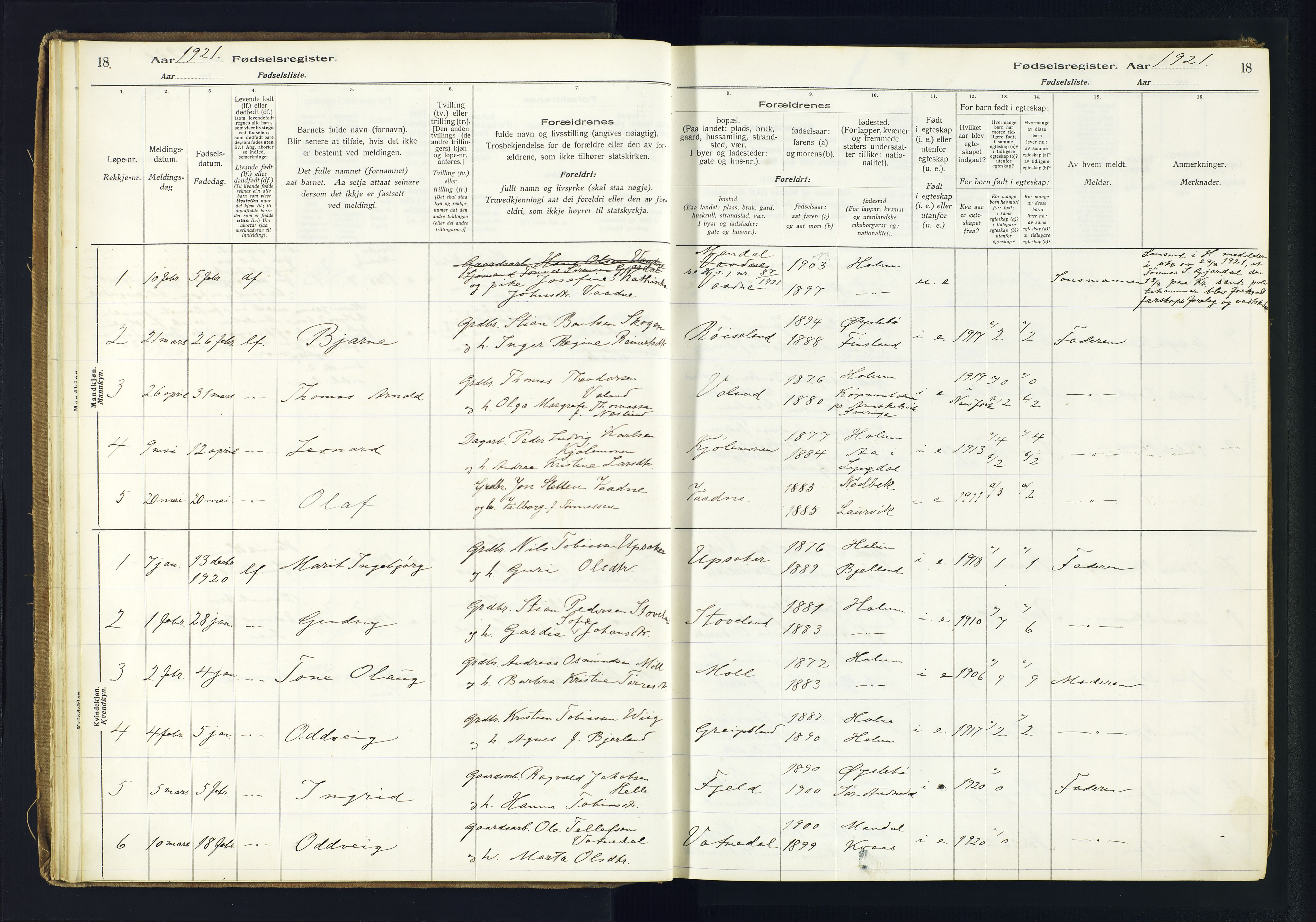 Holum sokneprestkontor, SAK/1111-0022/J/Ja/L0003: Birth register no. II.6.12, 1916-1982, p. 18