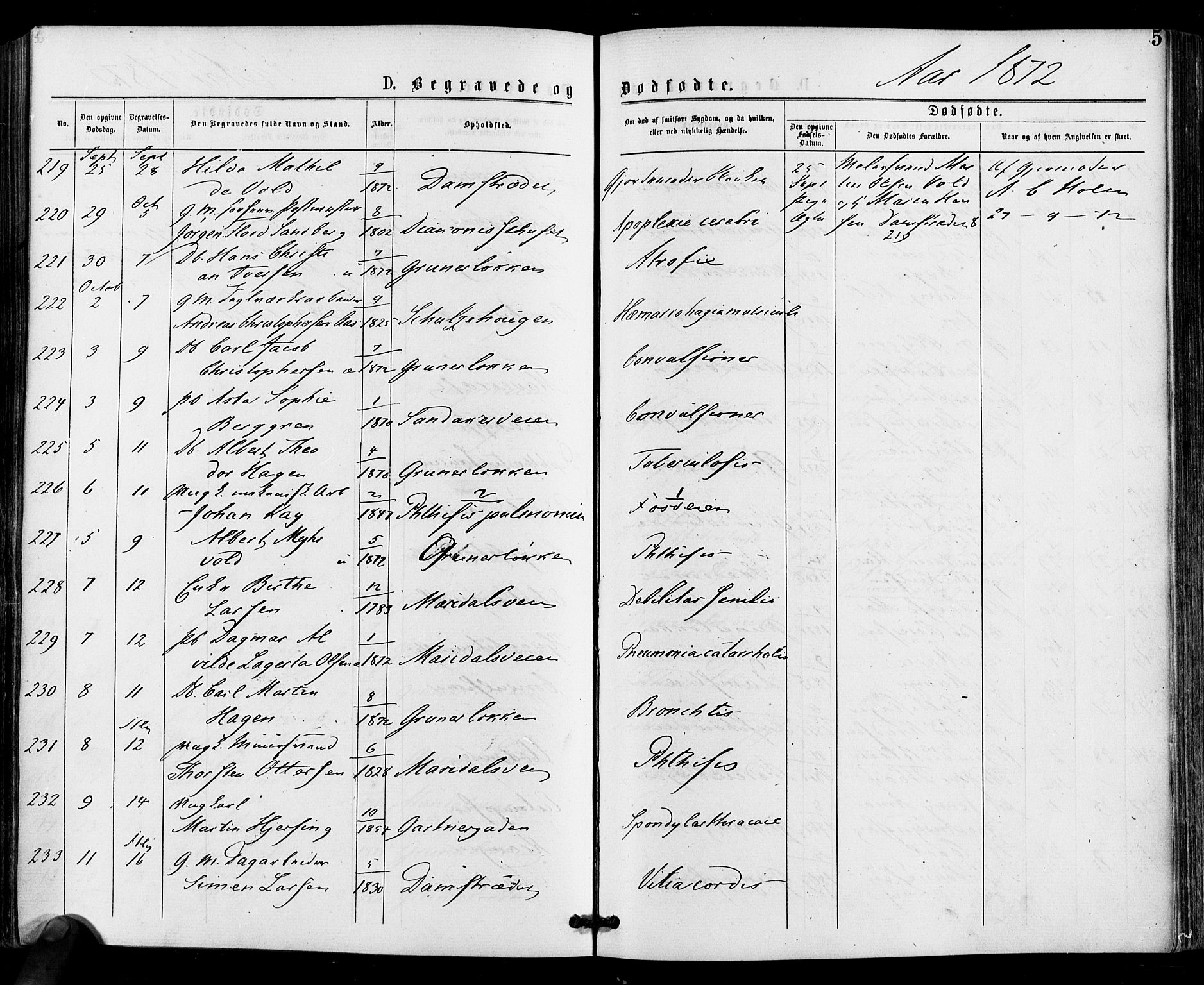 Gamle Aker prestekontor Kirkebøker, AV/SAO-A-10617a/F/L0004: Parish register (official) no. 4, 1872-1879, p. 5