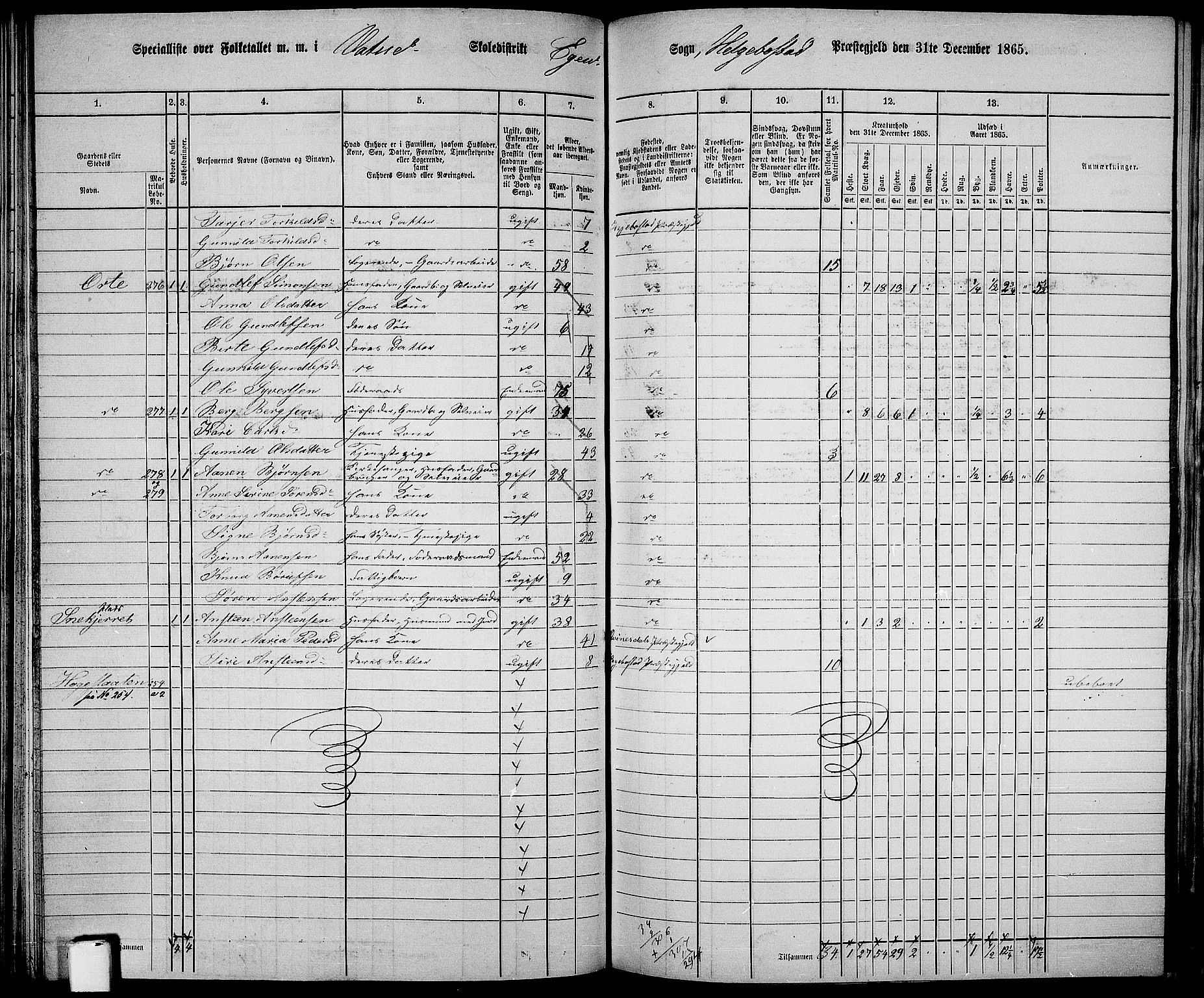 RA, 1865 census for Hægebostad, 1865, p. 80