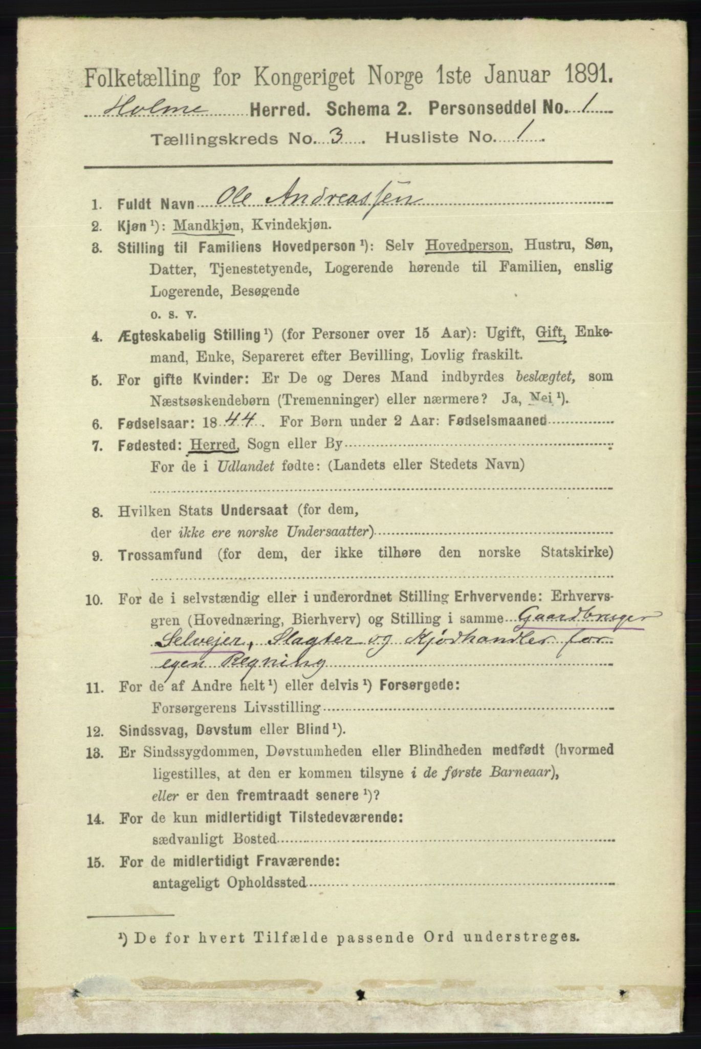 RA, 1891 census for 1020 Holum, 1891, p. 822