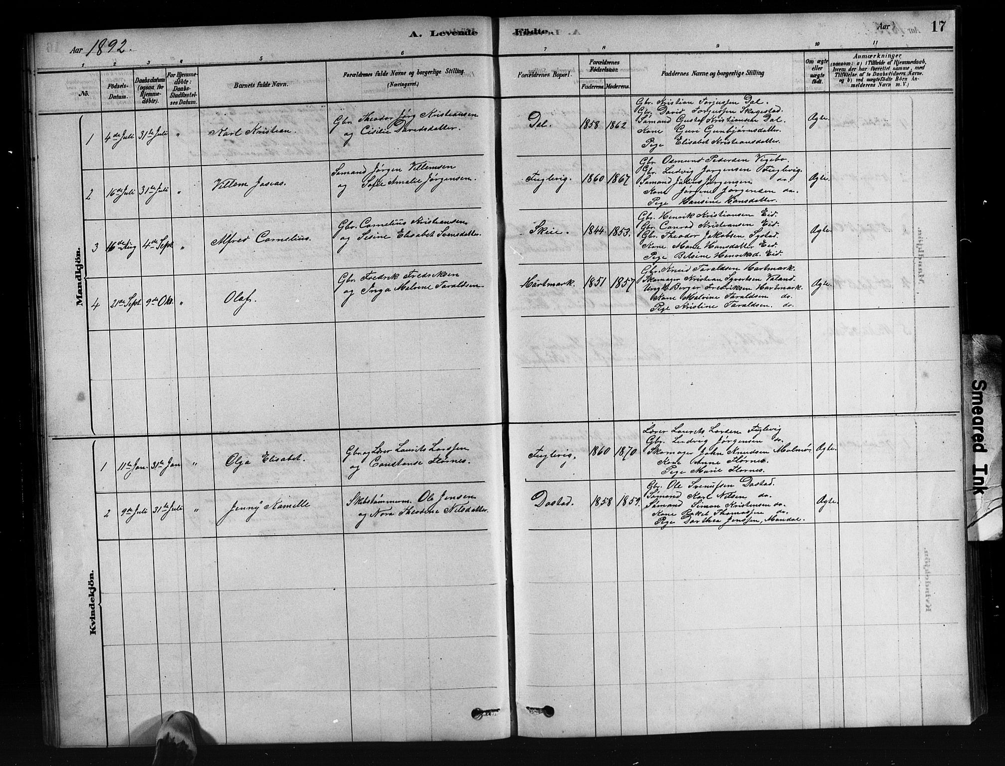 Mandal sokneprestkontor, SAK/1111-0030/F/Fb/Fbb/L0004: Parish register (copy) no. B 4, 1878-1913, p. 17