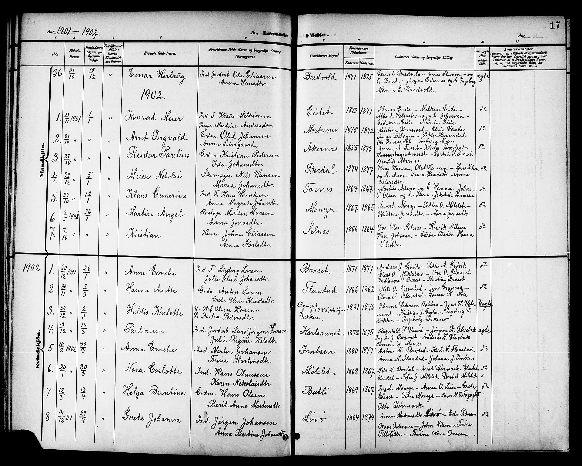 Ministerialprotokoller, klokkerbøker og fødselsregistre - Sør-Trøndelag, AV/SAT-A-1456/655/L0688: Parish register (copy) no. 655C04, 1899-1922, p. 17