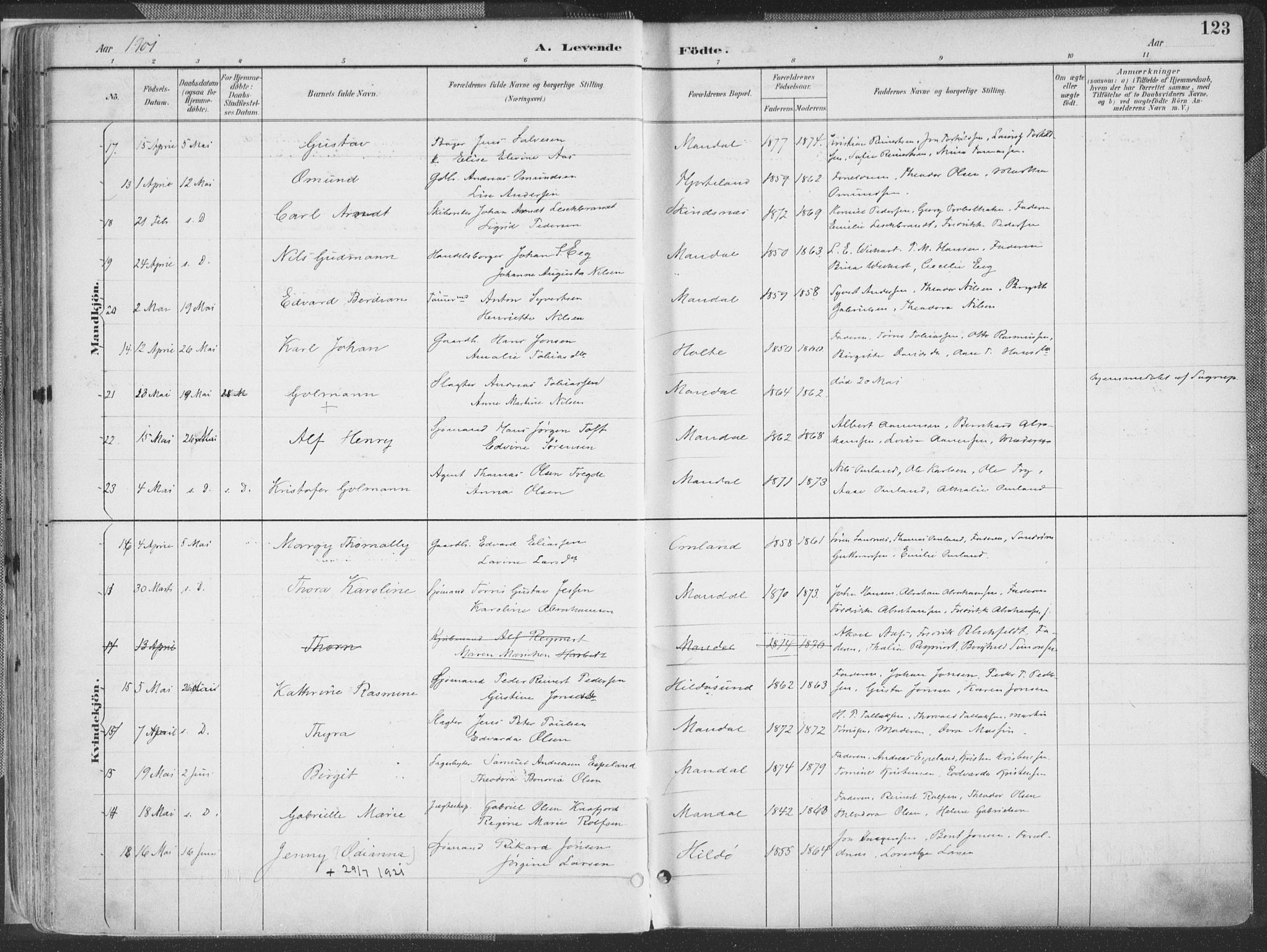 Mandal sokneprestkontor, AV/SAK-1111-0030/F/Fa/Faa/L0018: Parish register (official) no. A 18, 1890-1905, p. 123