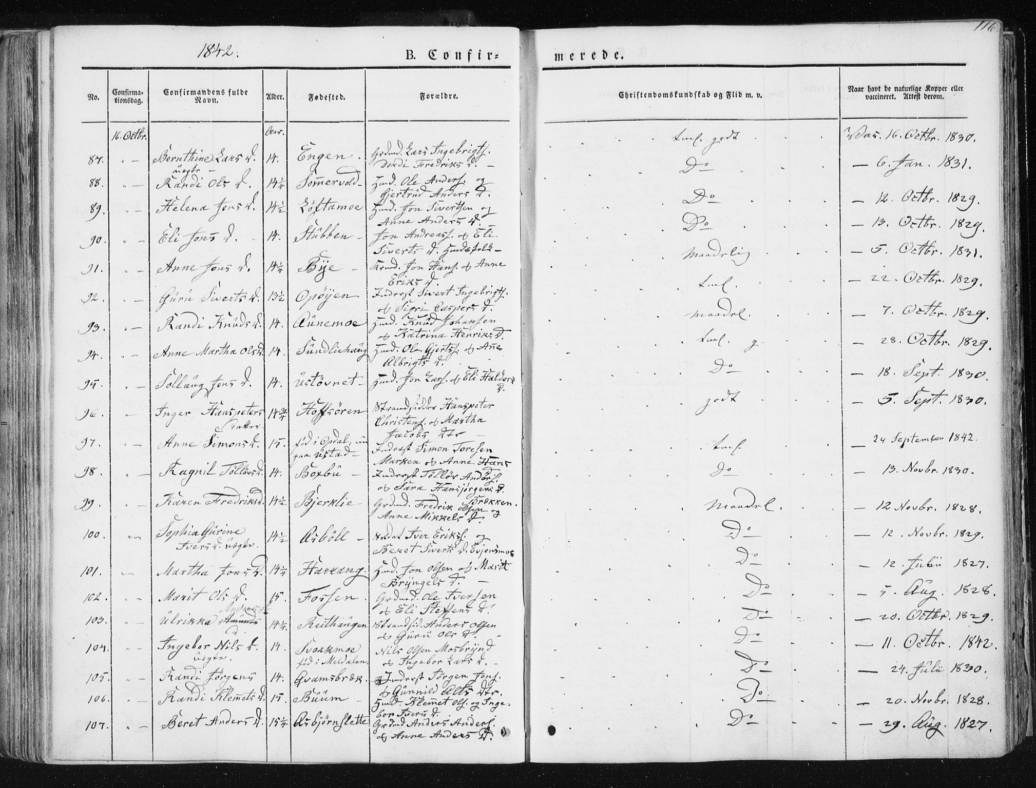 Ministerialprotokoller, klokkerbøker og fødselsregistre - Sør-Trøndelag, SAT/A-1456/668/L0805: Parish register (official) no. 668A05, 1840-1853, p. 116