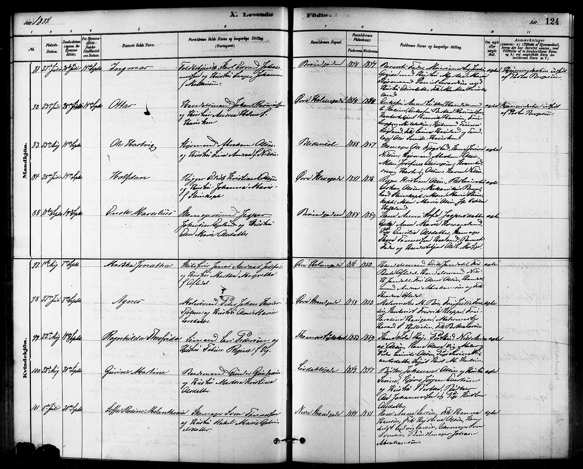 Domkirken sokneprestkontor, SAST/A-101812/001/30/30BB/L0015: Parish register (copy) no. B 15, 1880-1891, p. 124