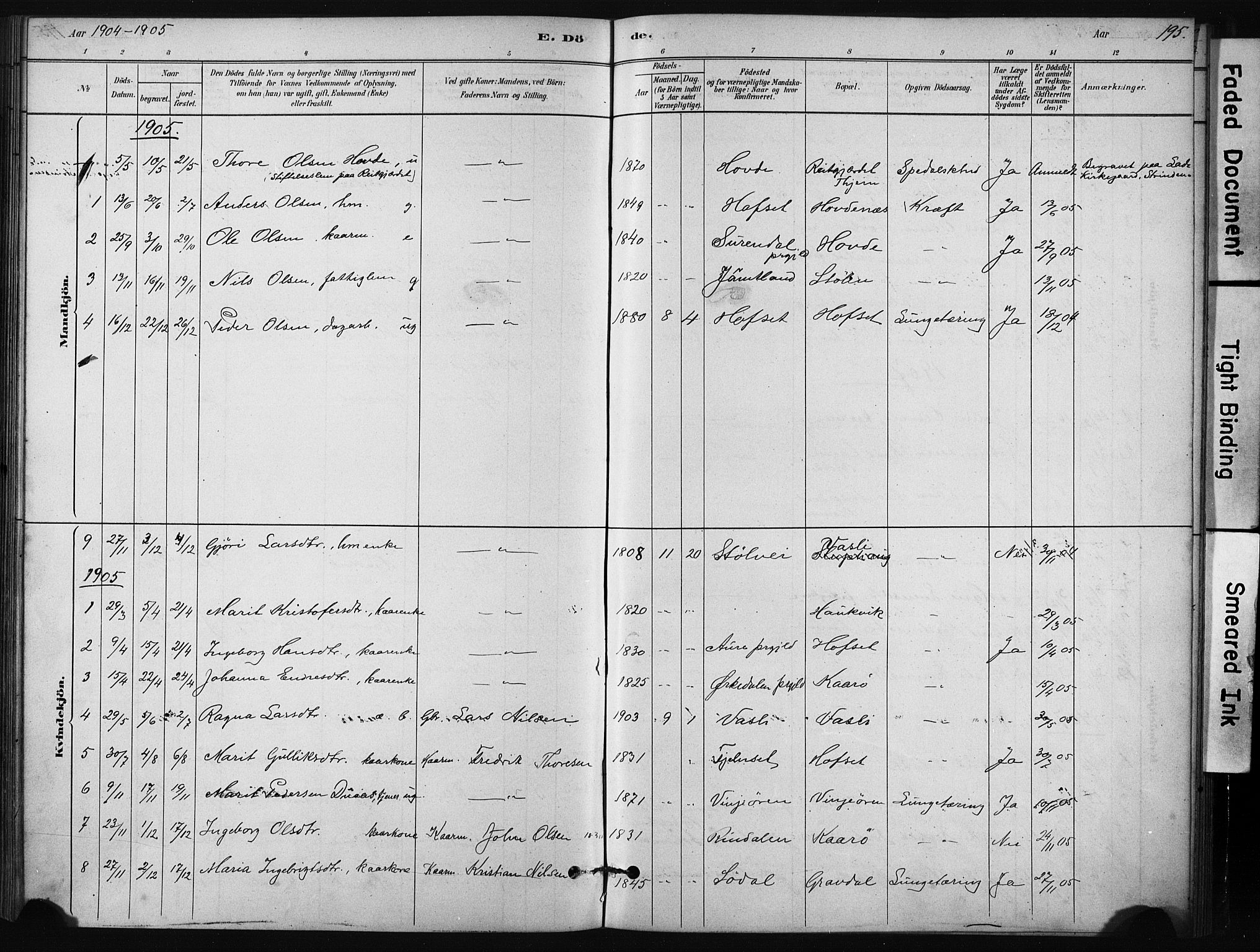 Ministerialprotokoller, klokkerbøker og fødselsregistre - Sør-Trøndelag, AV/SAT-A-1456/631/L0512: Parish register (official) no. 631A01, 1879-1912, p. 195