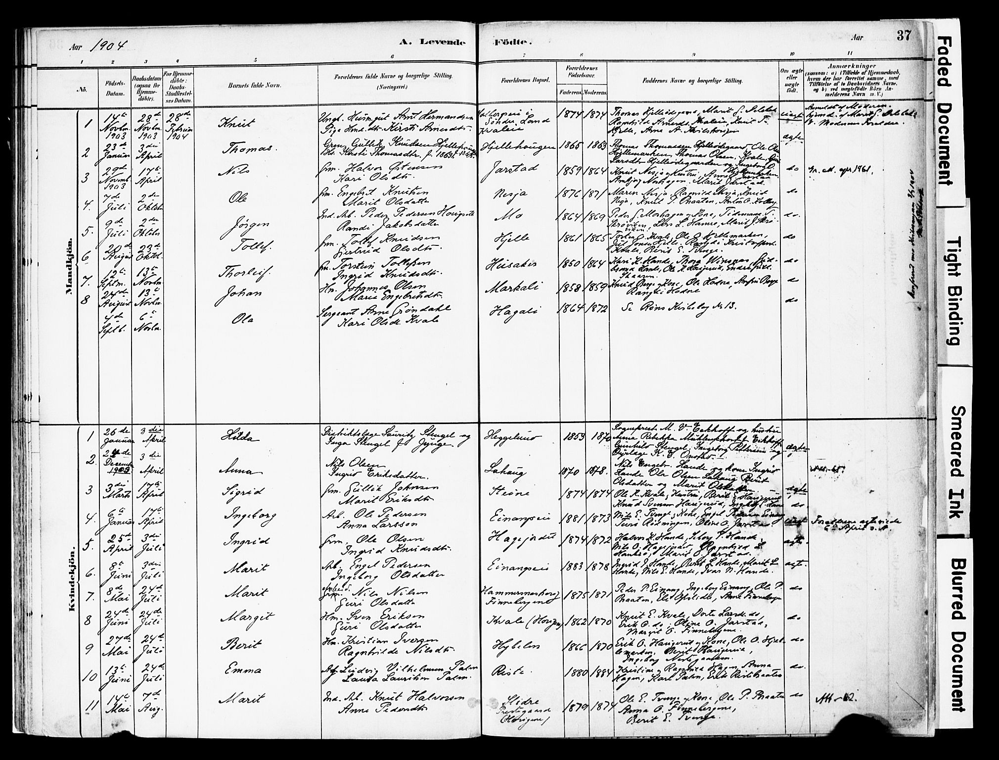 Vestre Slidre prestekontor, SAH/PREST-136/H/Ha/Haa/L0004: Parish register (official) no. 4, 1881-1911, p. 37