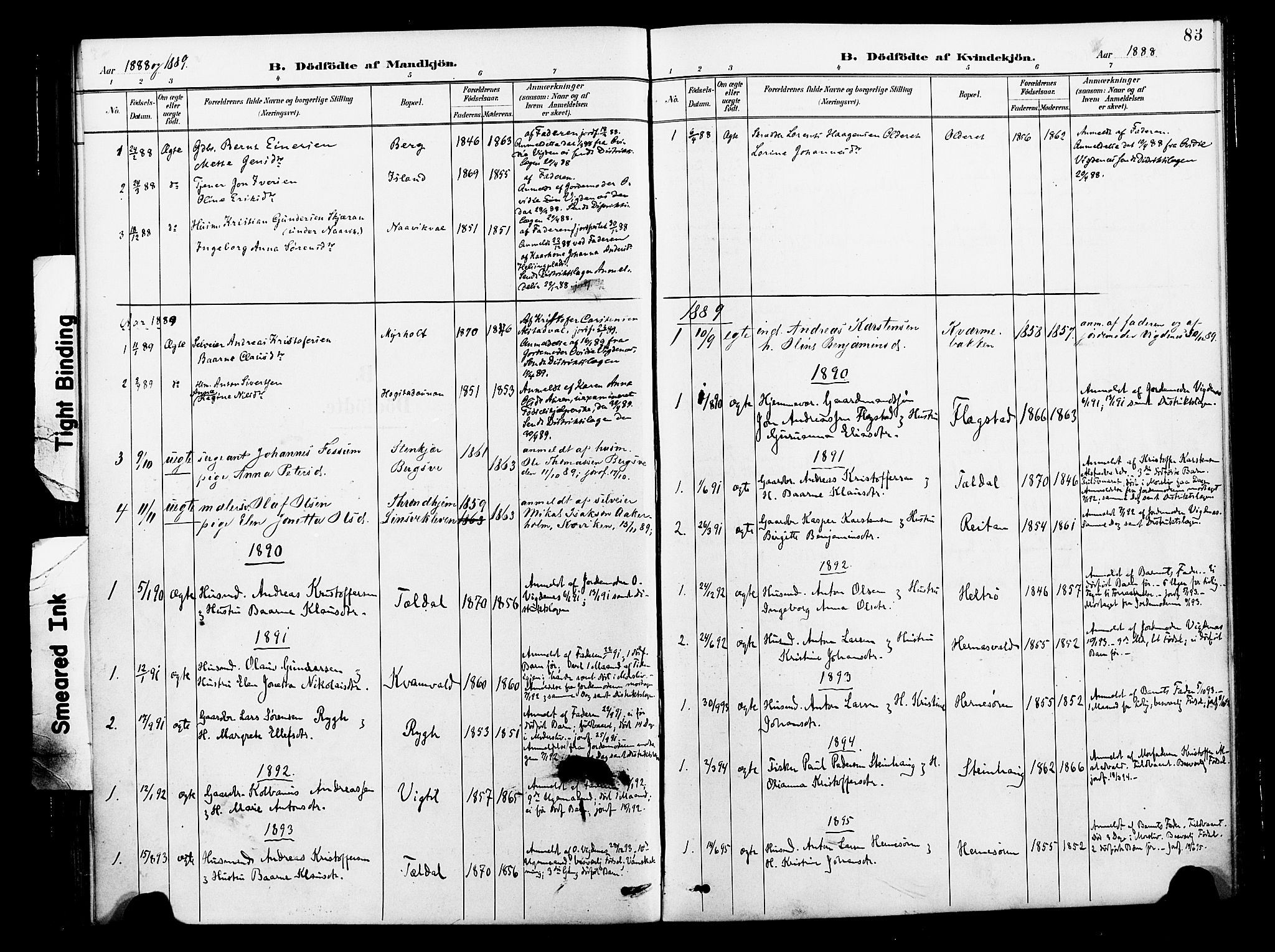 Ministerialprotokoller, klokkerbøker og fødselsregistre - Nord-Trøndelag, SAT/A-1458/713/L0121: Parish register (official) no. 713A10, 1888-1898, p. 83